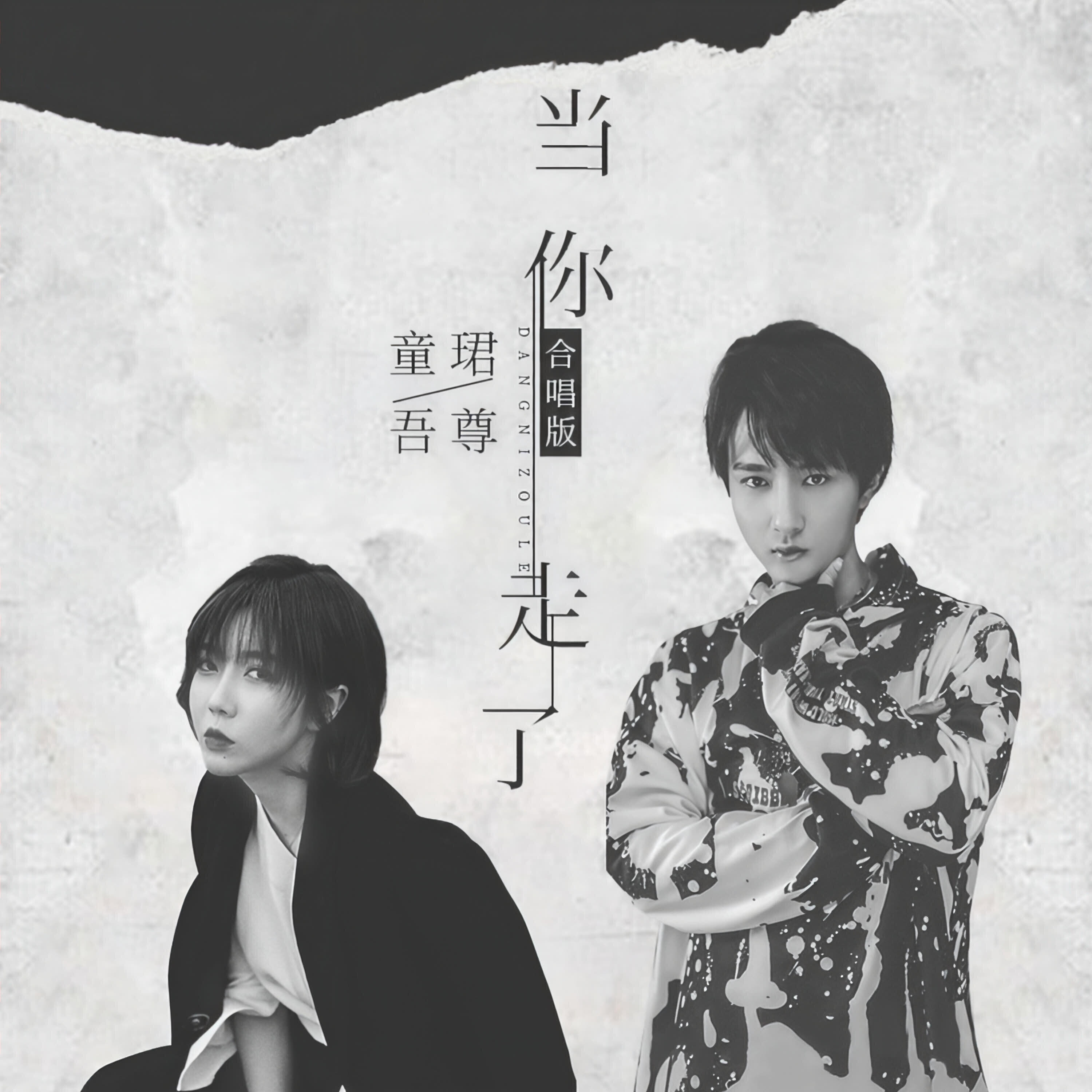Релиз 当你走了 (合唱版)