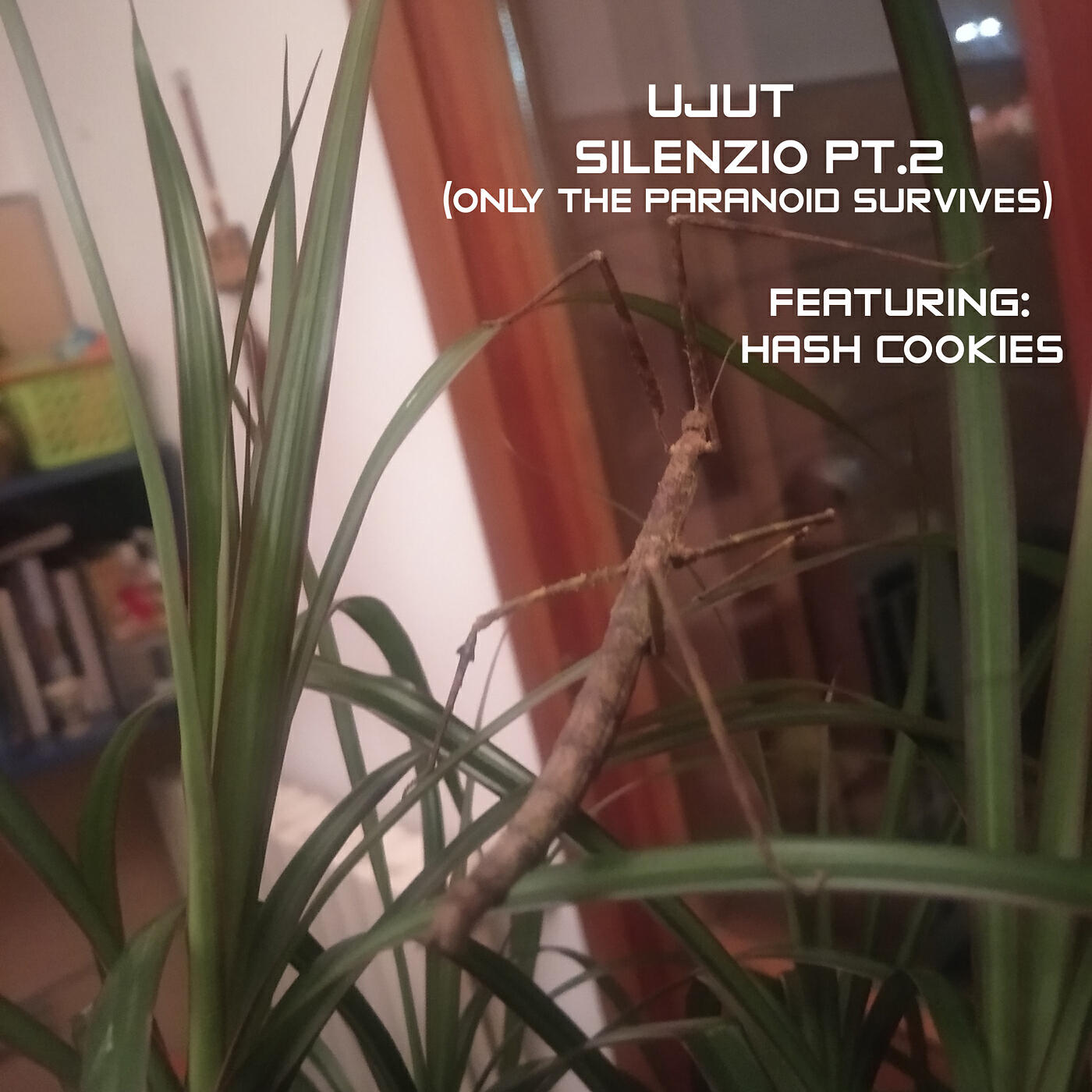 Релиз Silenzio, Pt. 2 (Only the Paranoid Survives)