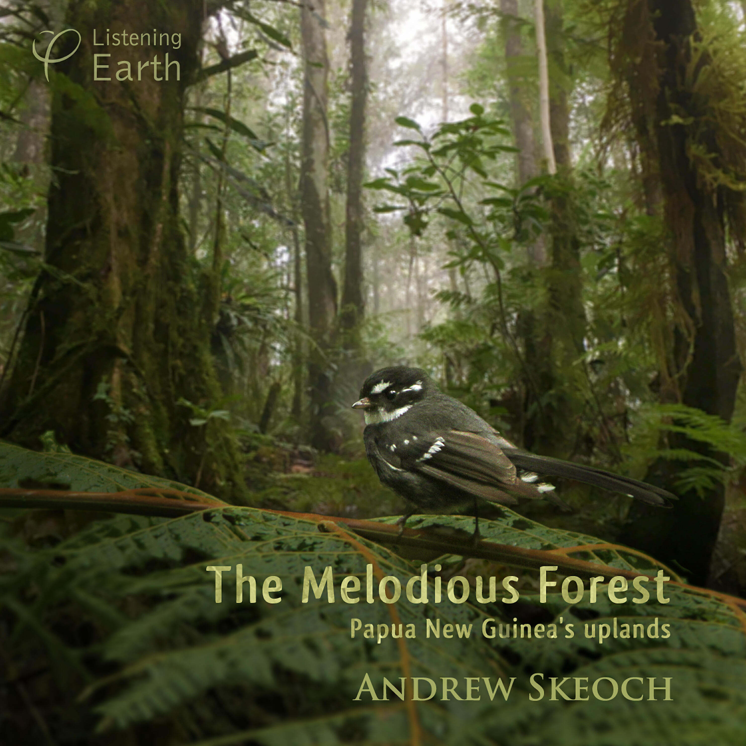 Релиз The Melodious Forest - Papua New Guinea's Uplands