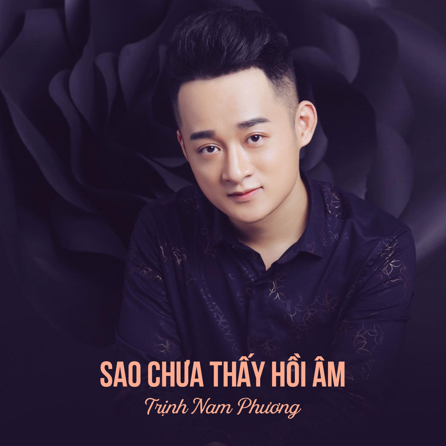 Релиз Sao Chưa Thấy Hồi Âm
