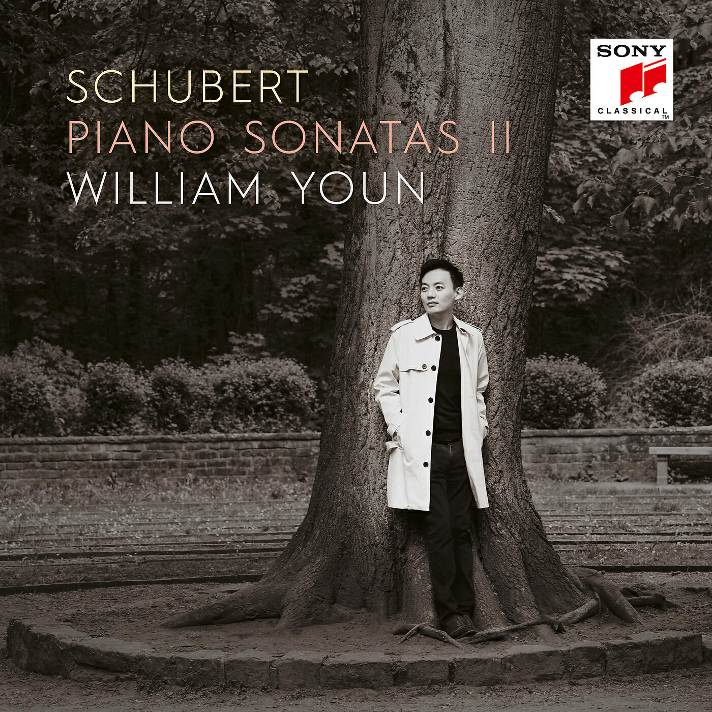 Релиз Piano Sonata No. 20 in A Major, D. 959/III. Scherzo. Allegro vivace - Trio