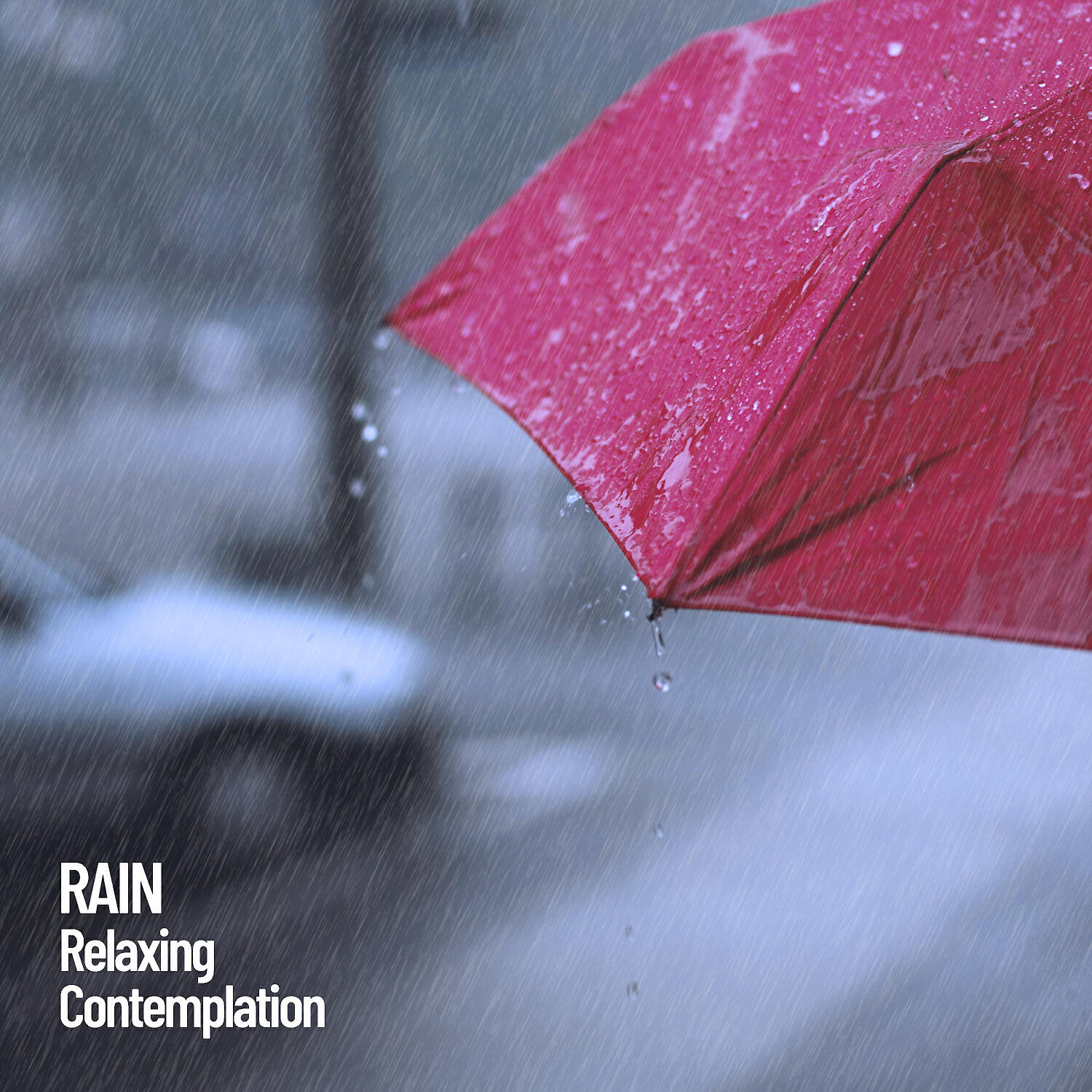 Релиз Rain: Relaxing Contemplation