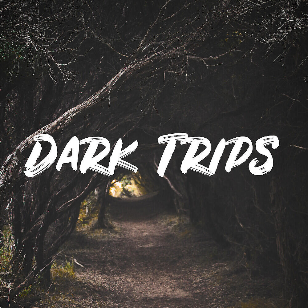 Релиз Dark Trips