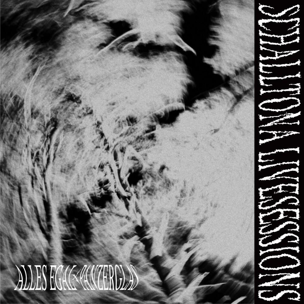 Релиз Alles Egal / Panzerglas (Schalltona Livesessions)