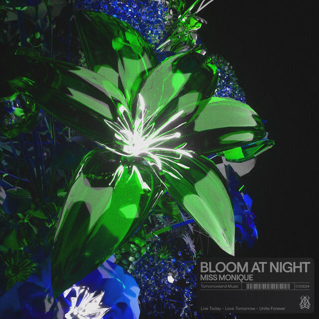 Релиз Bloom At Night