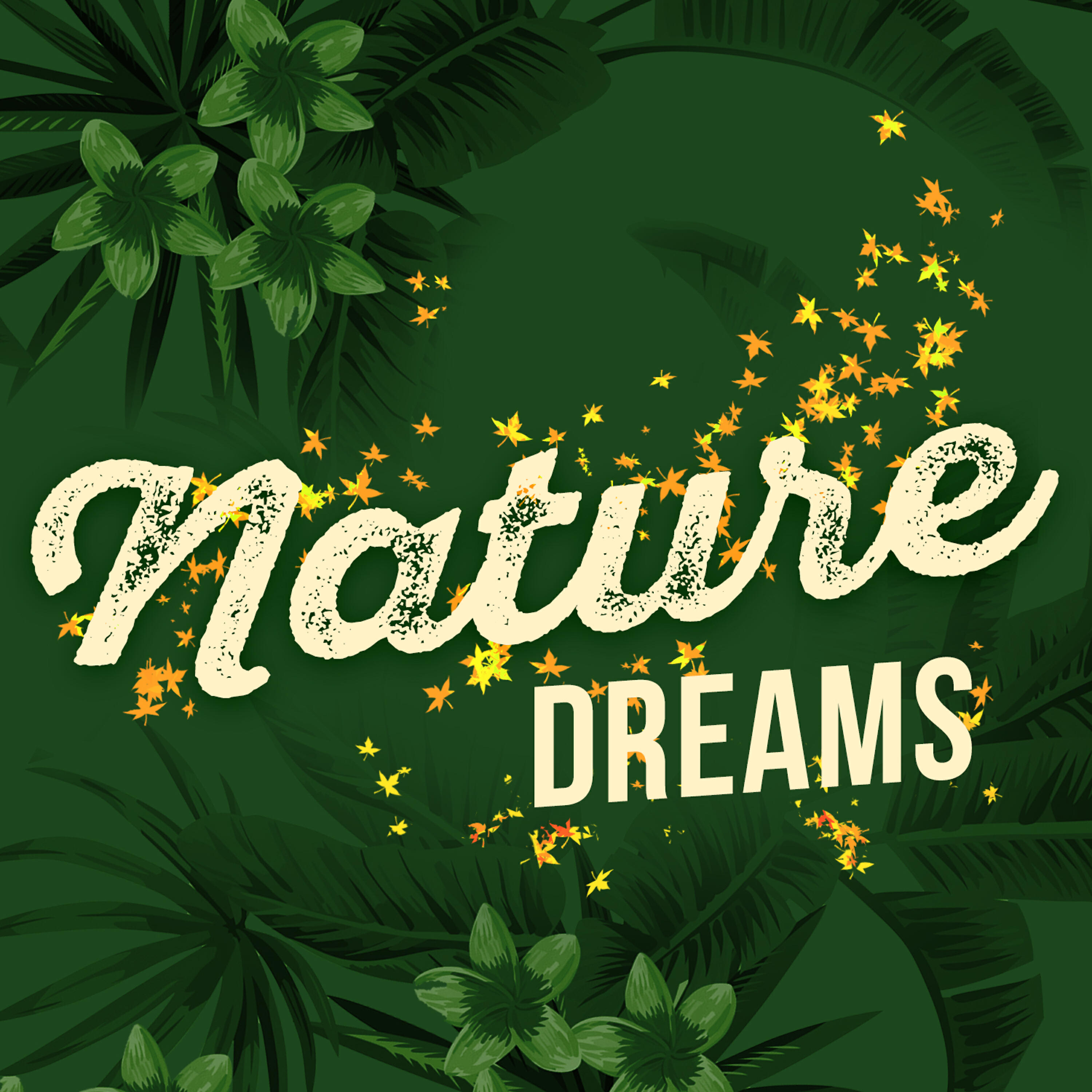 Релиз Nature Dreams