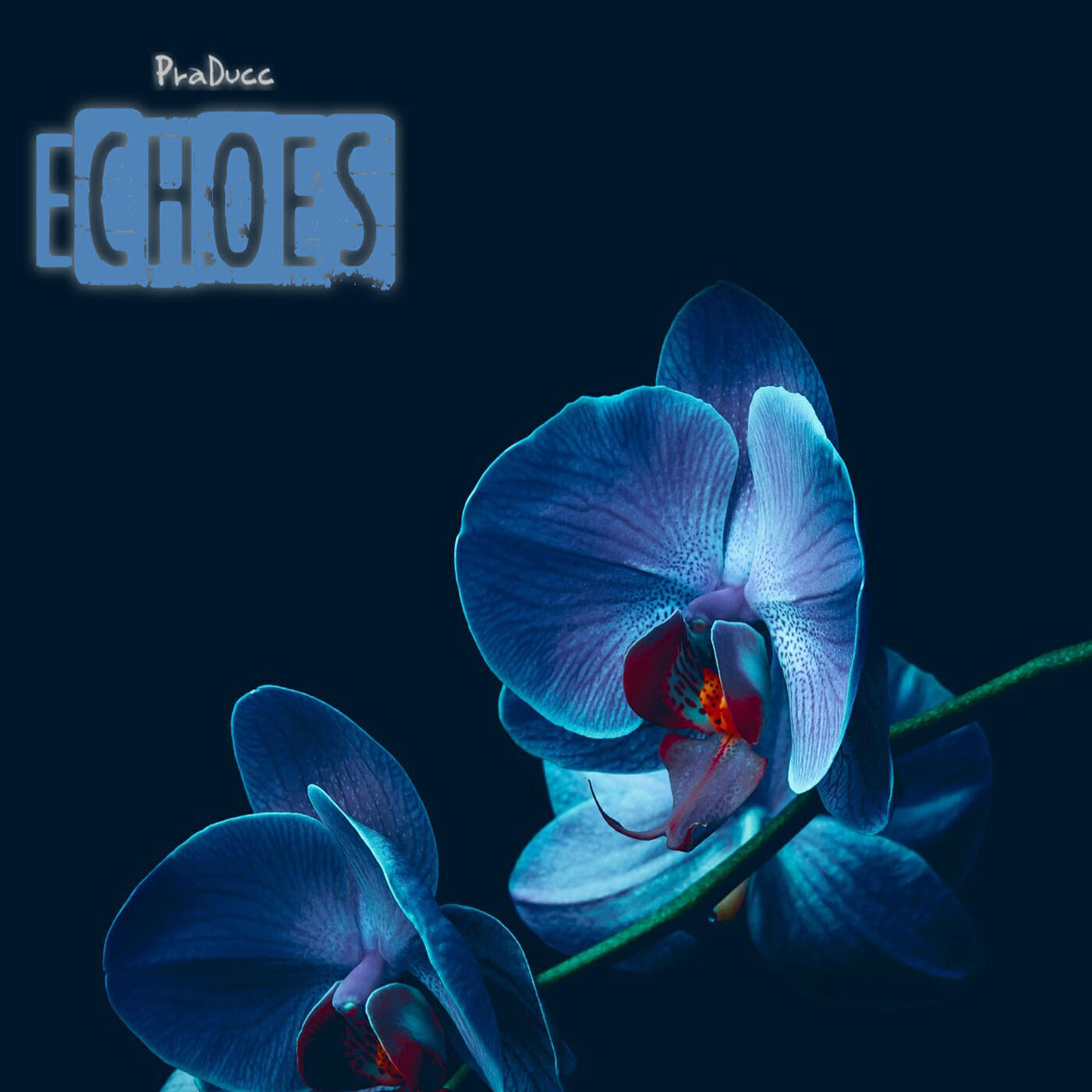 Релиз Echos