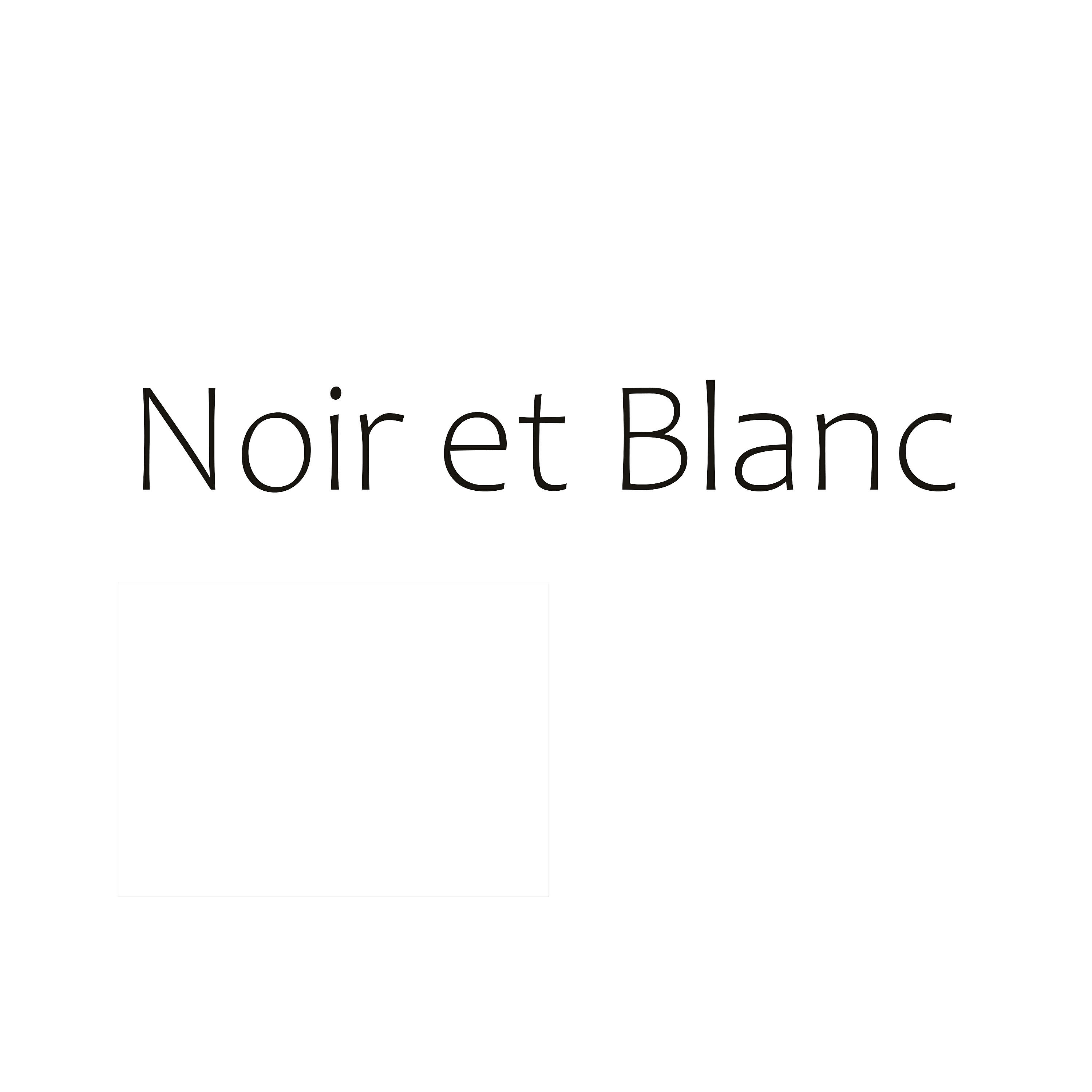 Релиз Noir Et Blanc