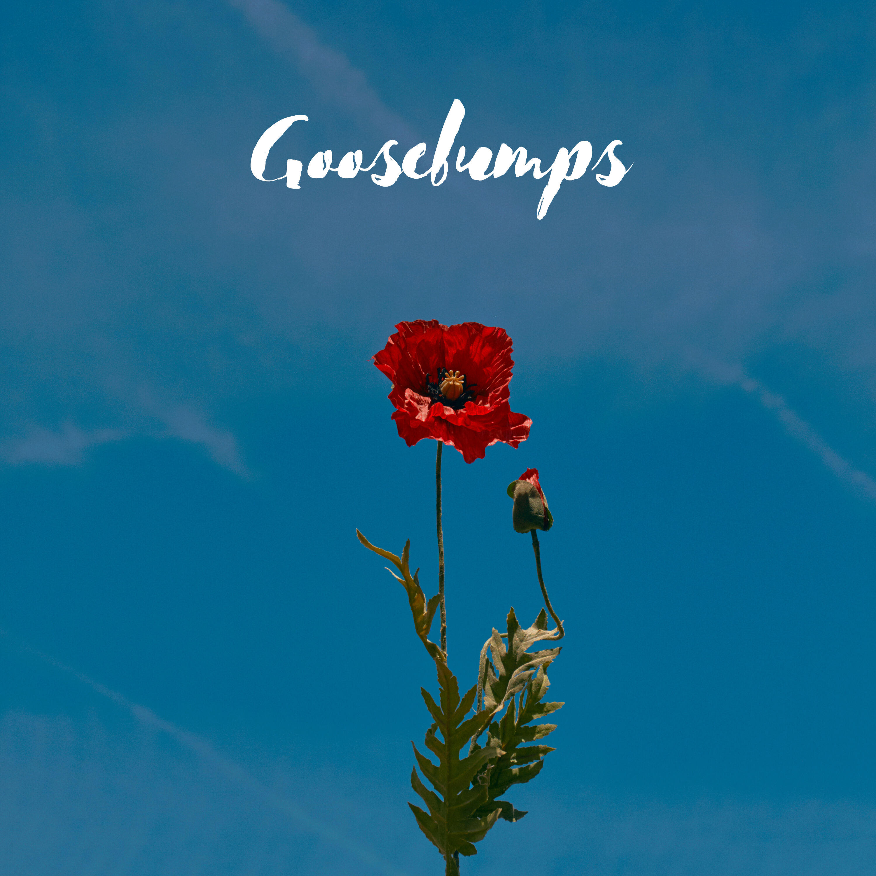 Релиз Goosebumps