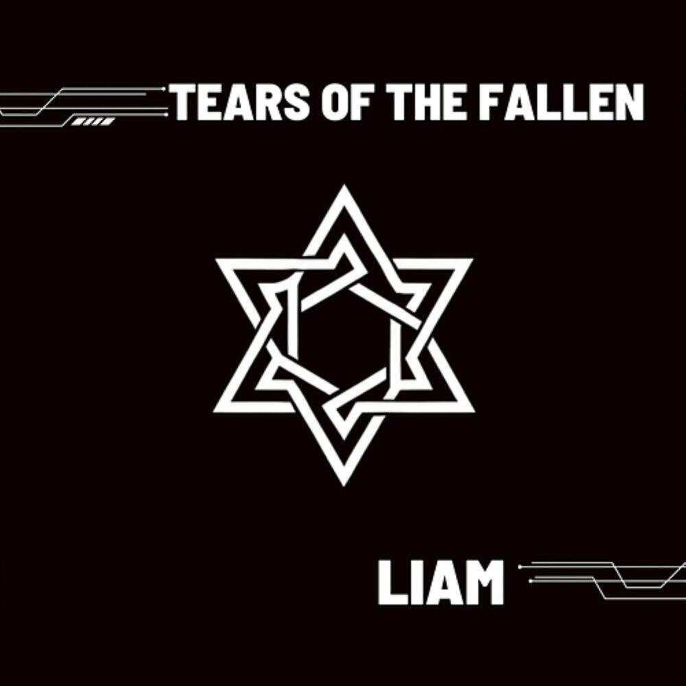 Релиз Tears of the Fallen