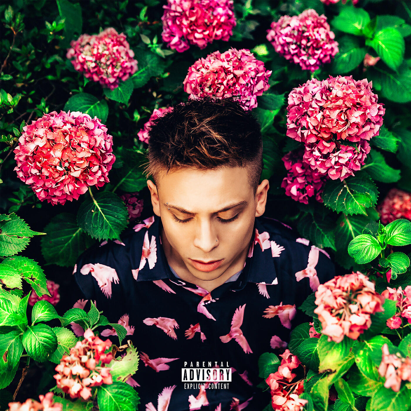 Постер альбома FIORI