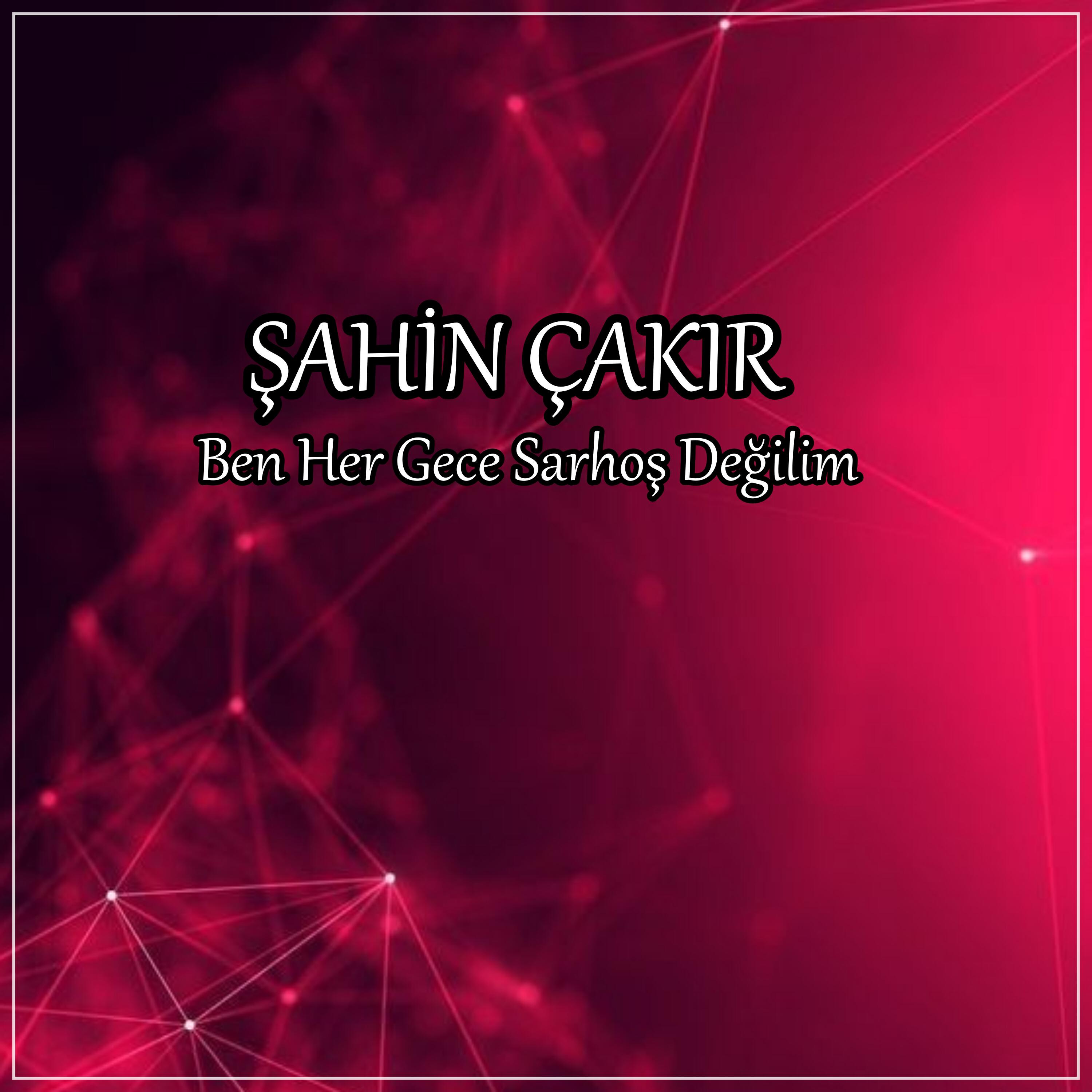 Релиз Ben Her Gece Sarhoş Değilim