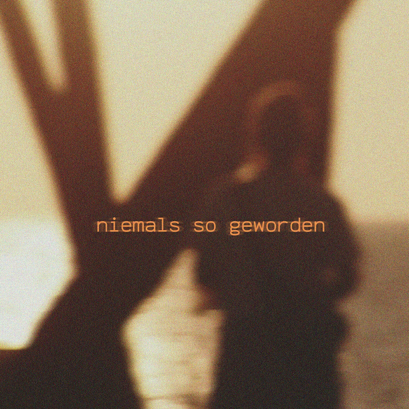 Релиз Niemals so Geworden