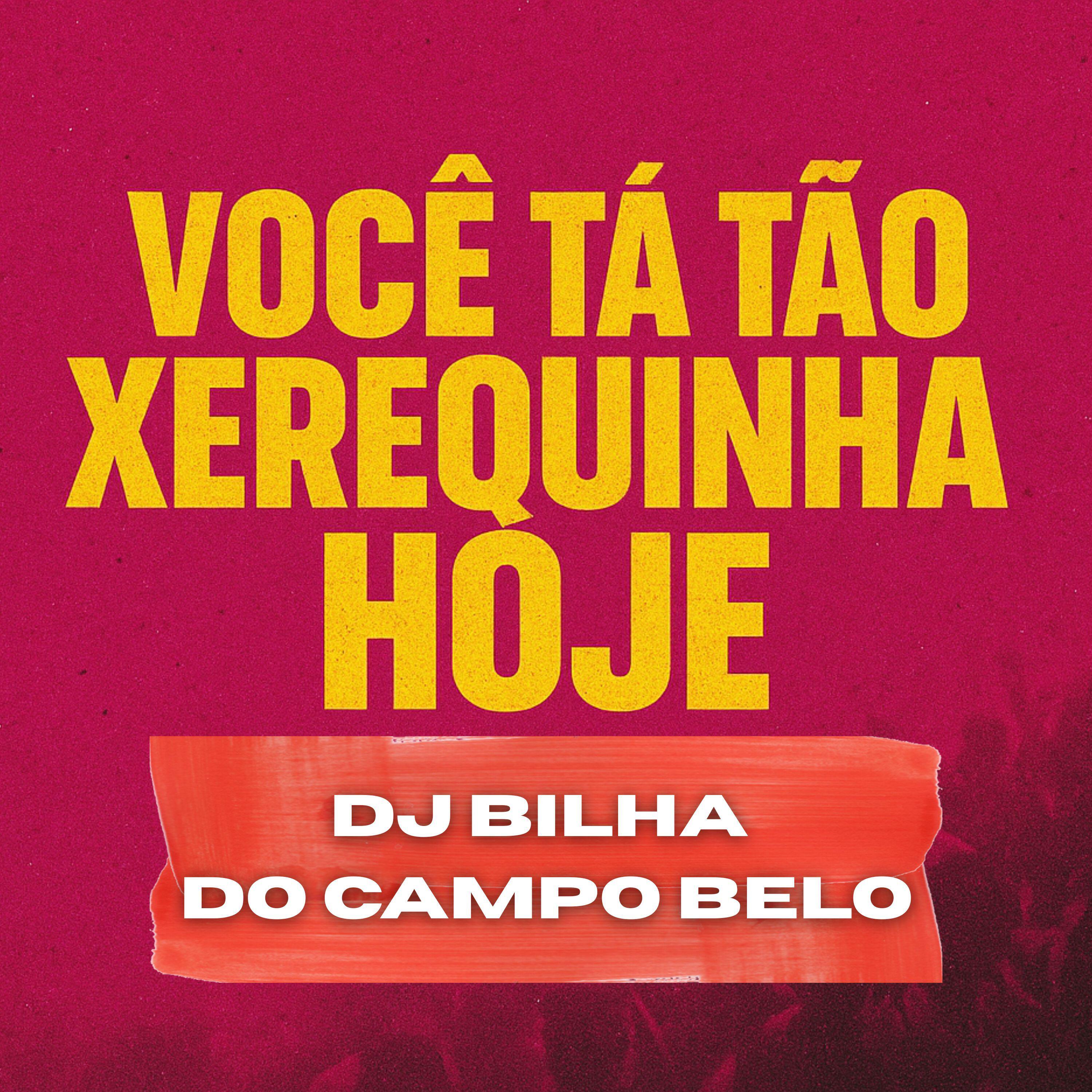 Постер альбома Você Tá Tão Xerequinha Hoje