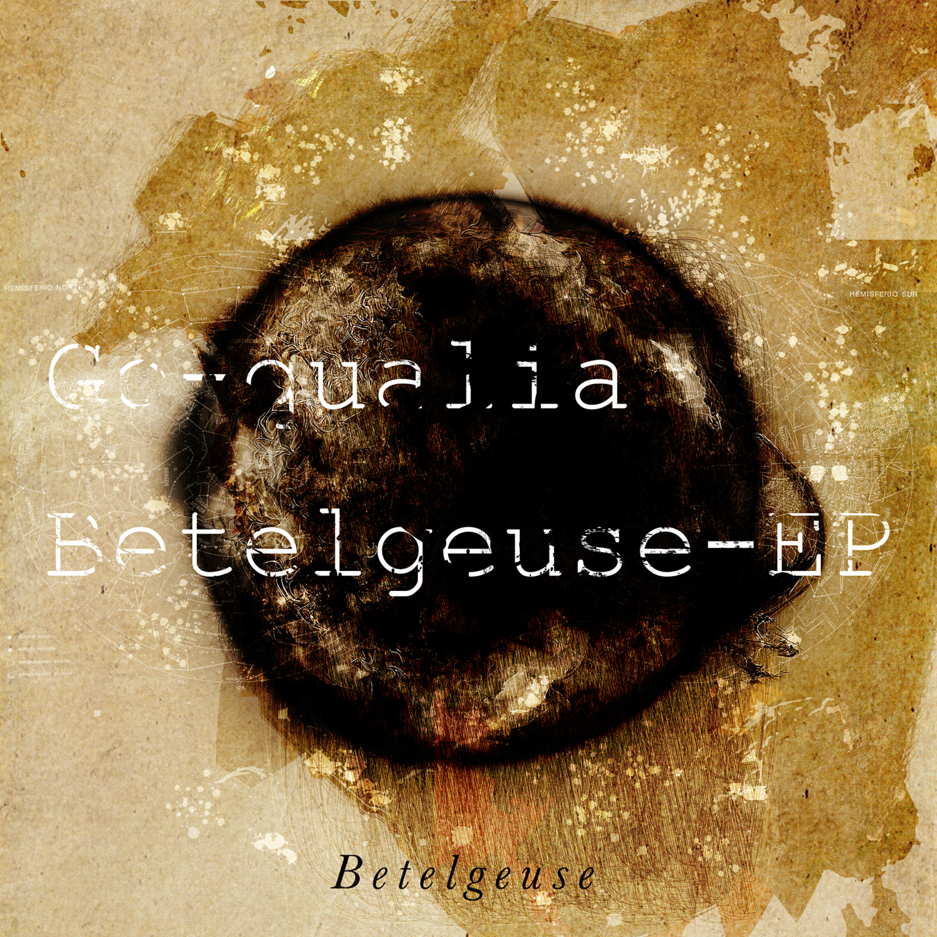 Go-qualia
