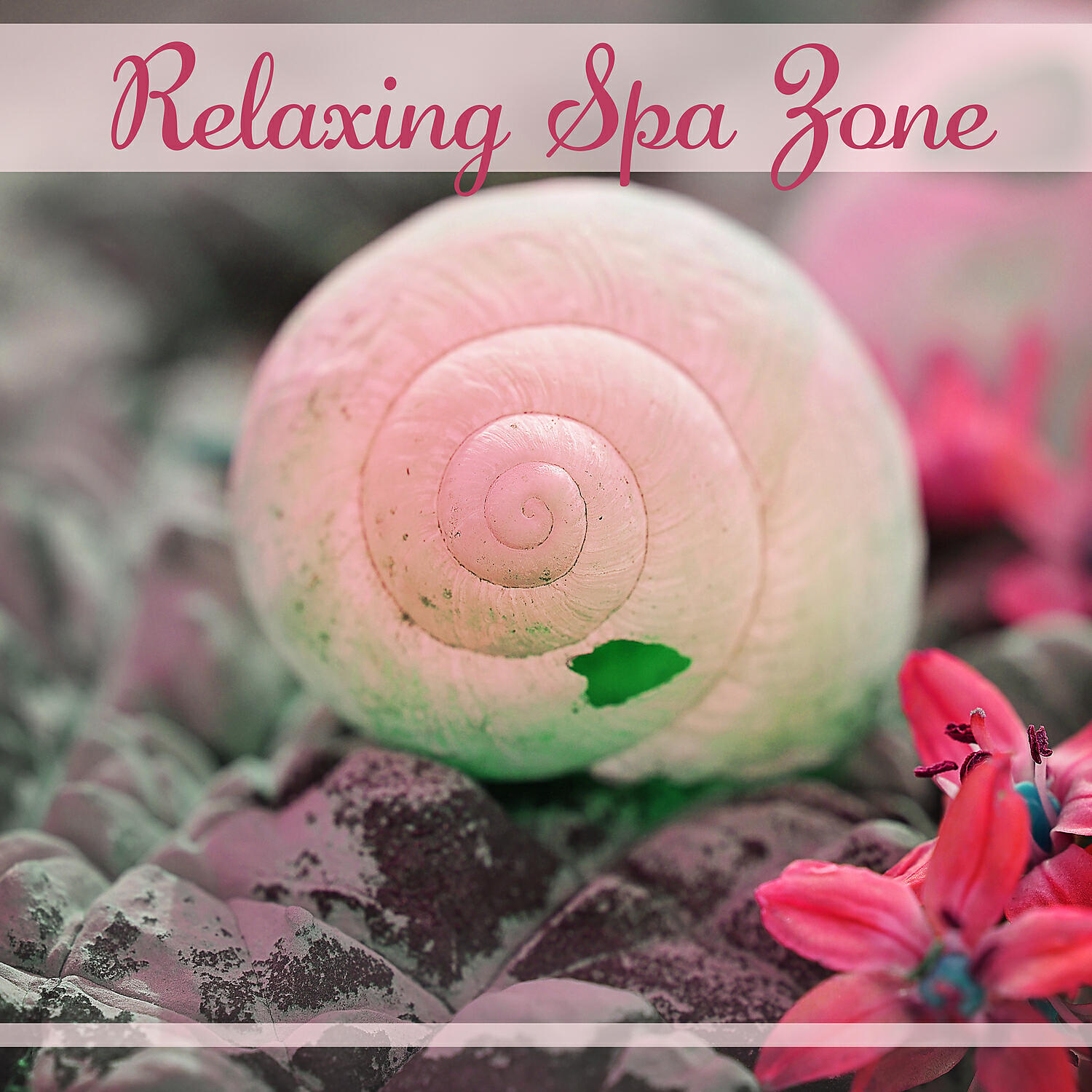 Релиз Relaxing Spa Zone – The Best Instrumental Music for Spa, Spa Massage Relax, Ambient Music Relaxation
