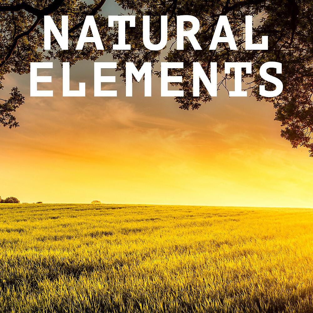 Релиз Natural Elements