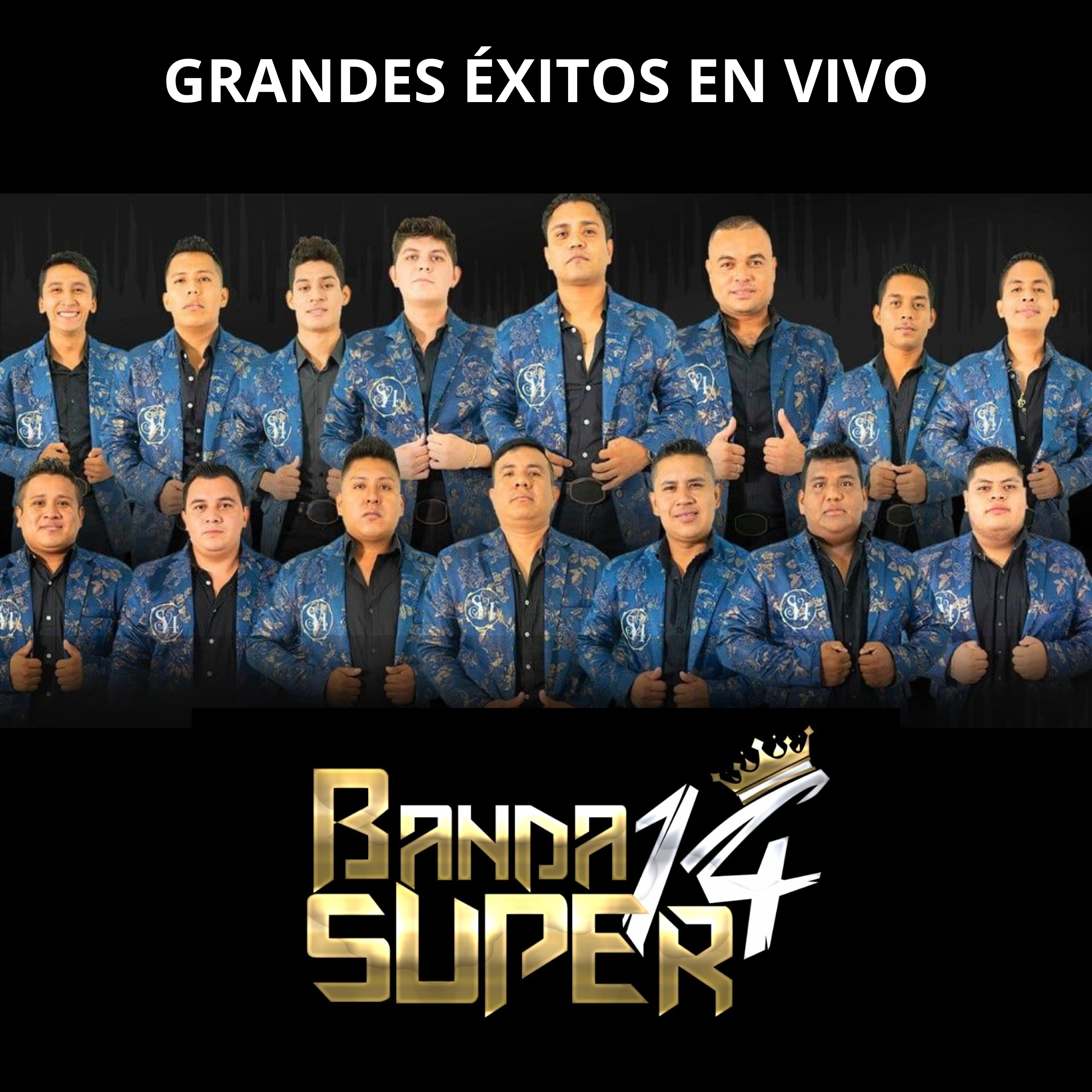 Релиз Grandes Éxitos