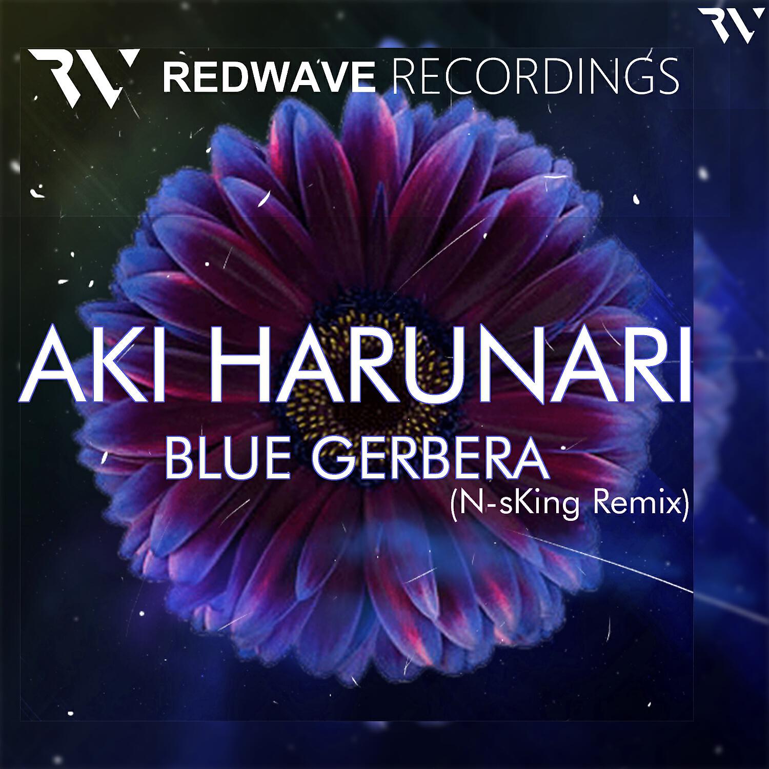 Релиз Blue Gerbera