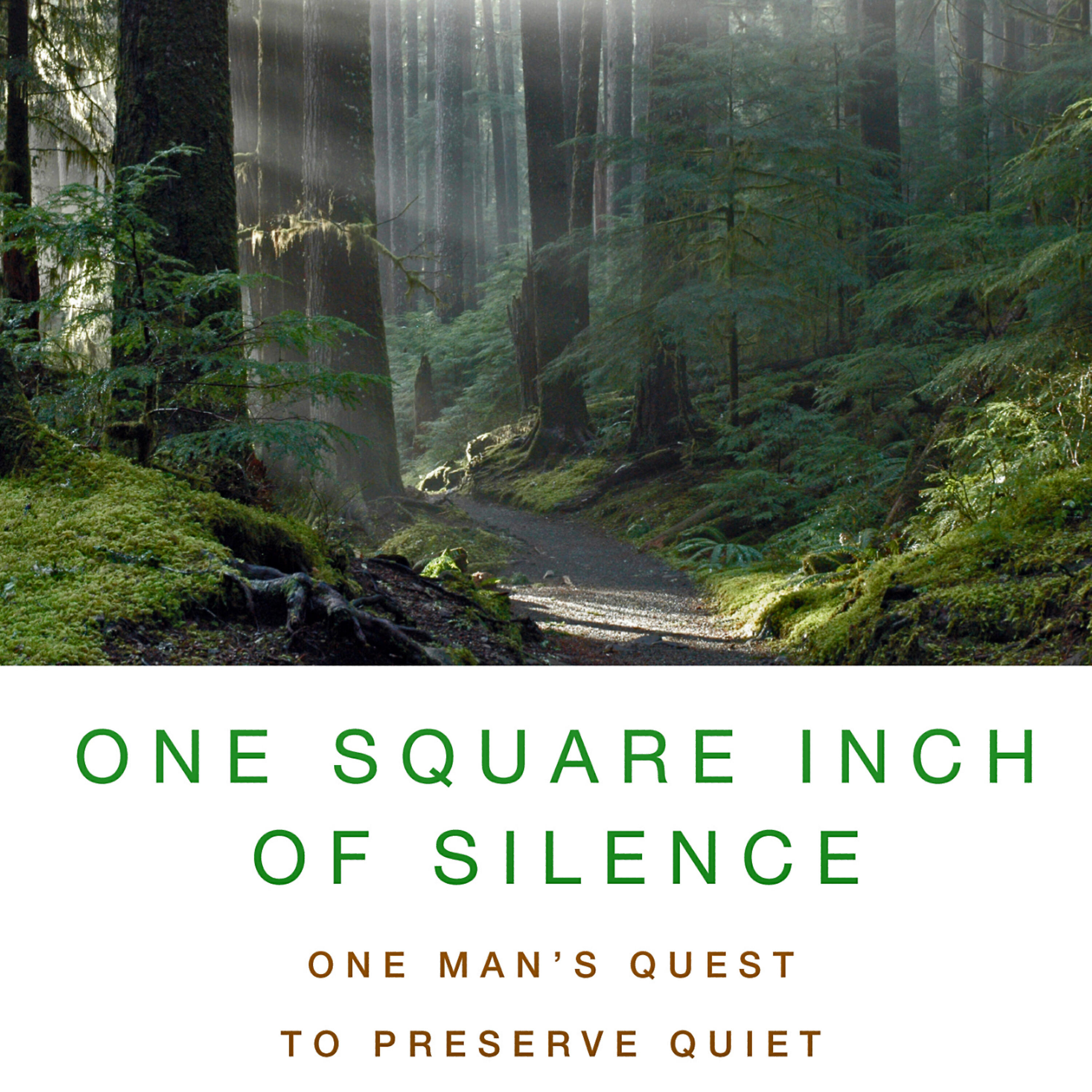Релиз One Square Inch of Silence