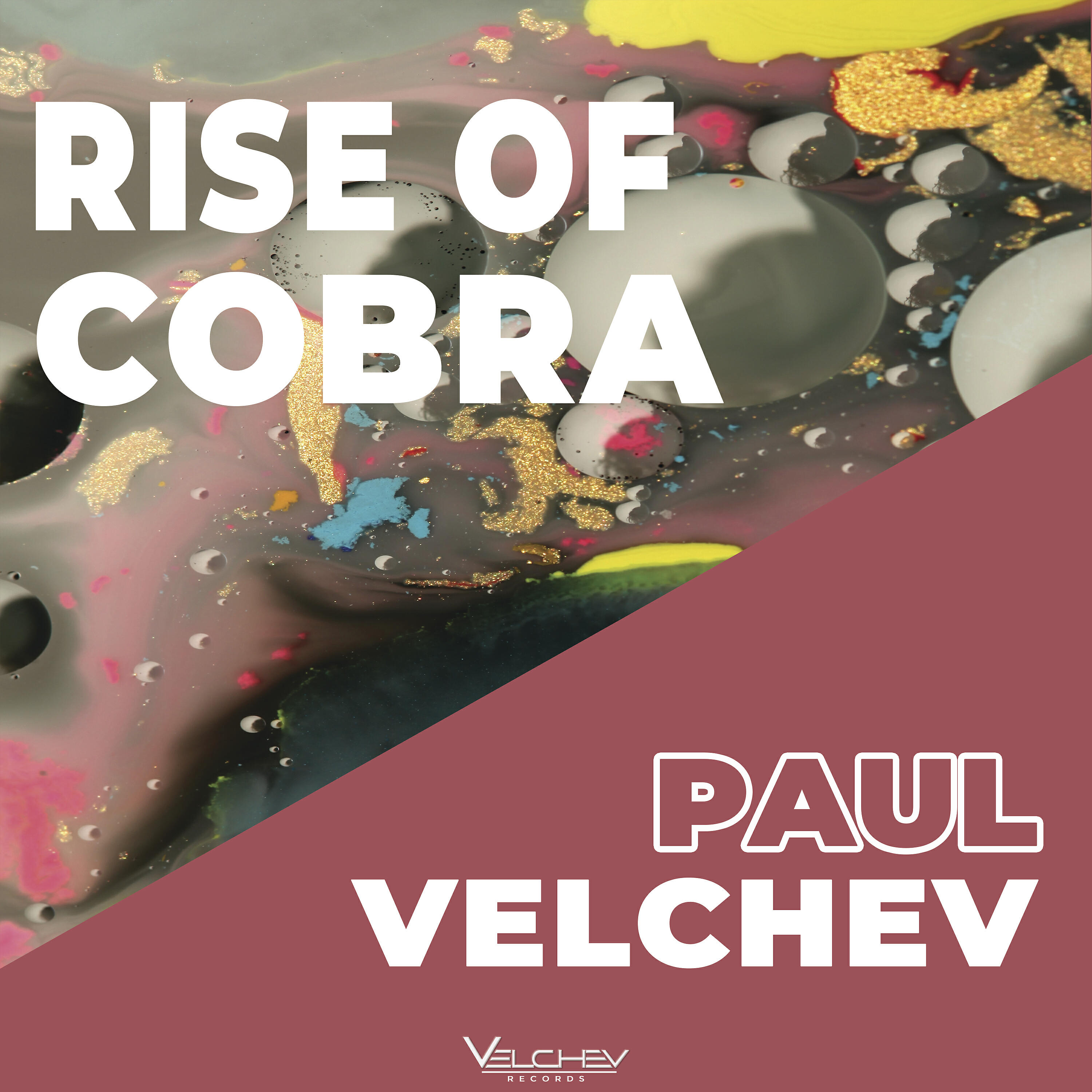 Релиз Rise of Cobra