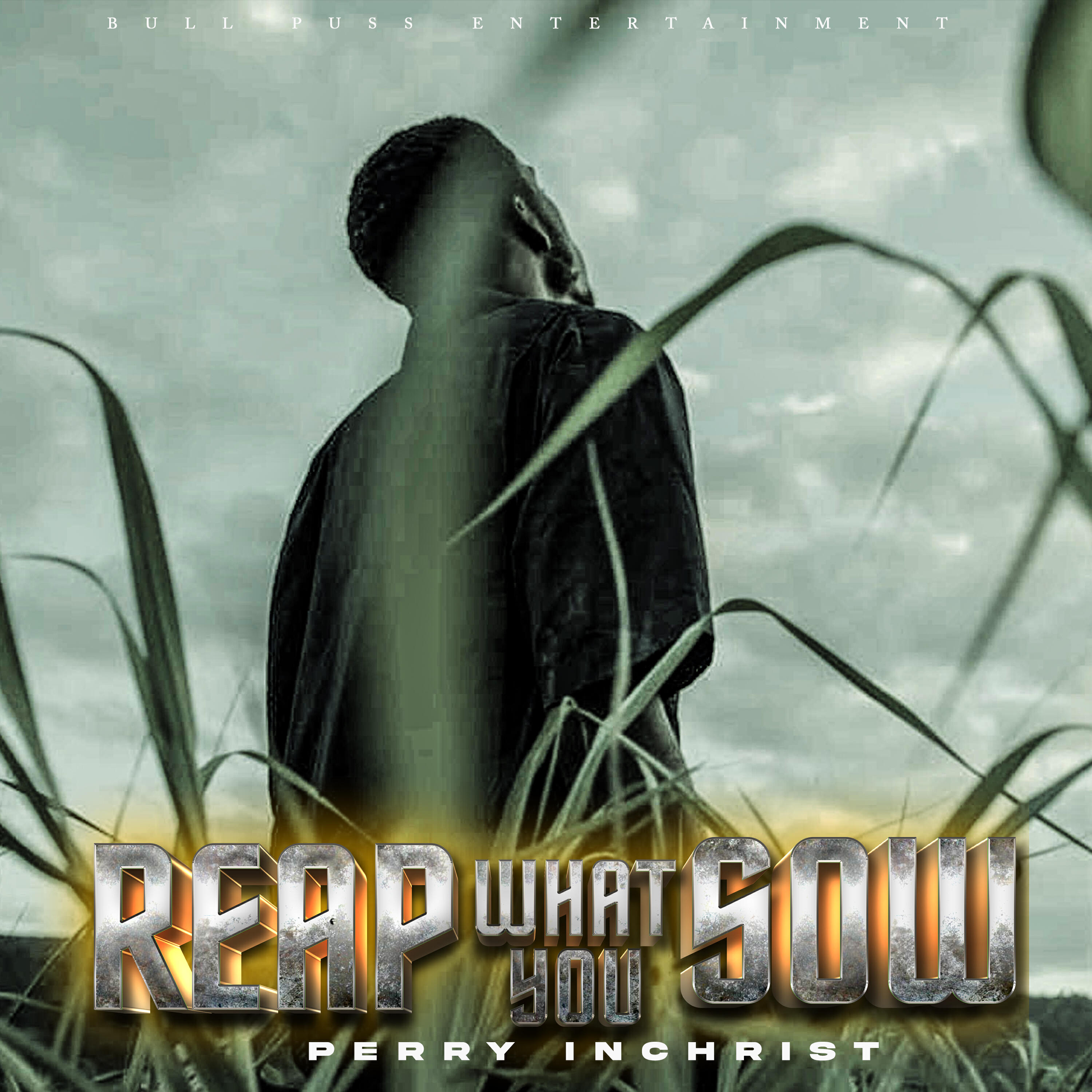 Релиз Reap What You Sow
