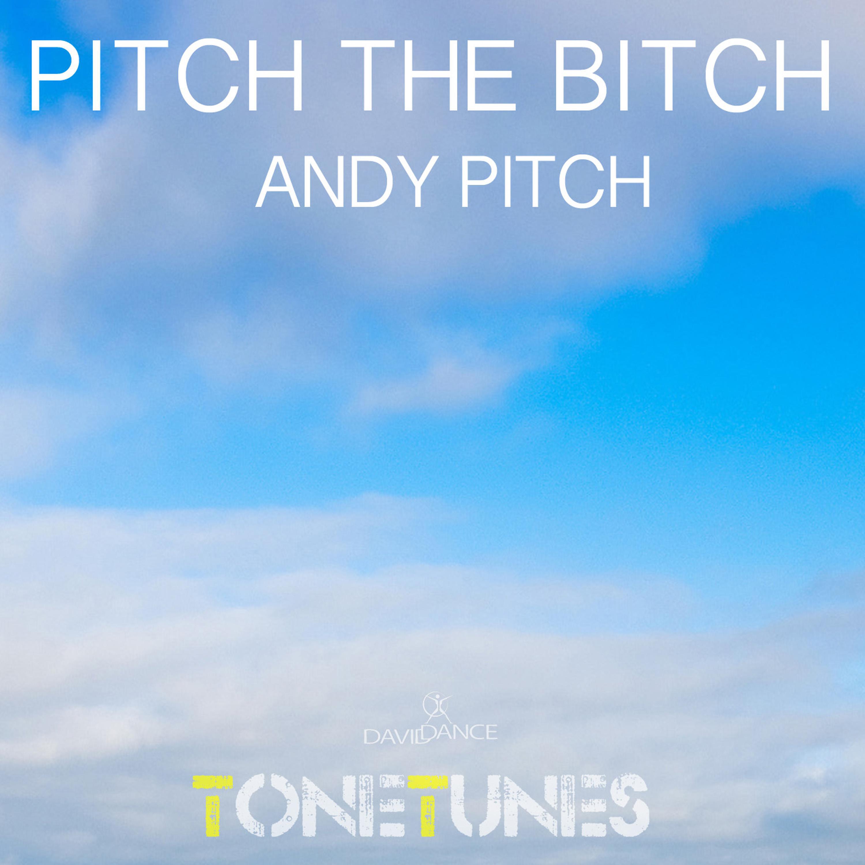 Релиз Pitch The Bitch