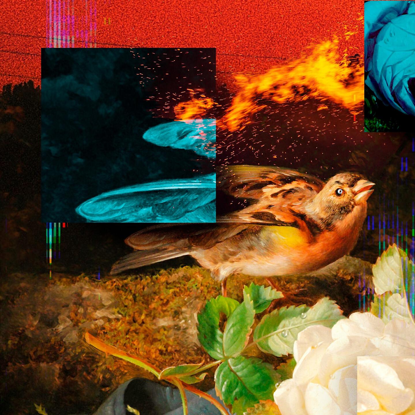 Релиз Trigger Your Sense