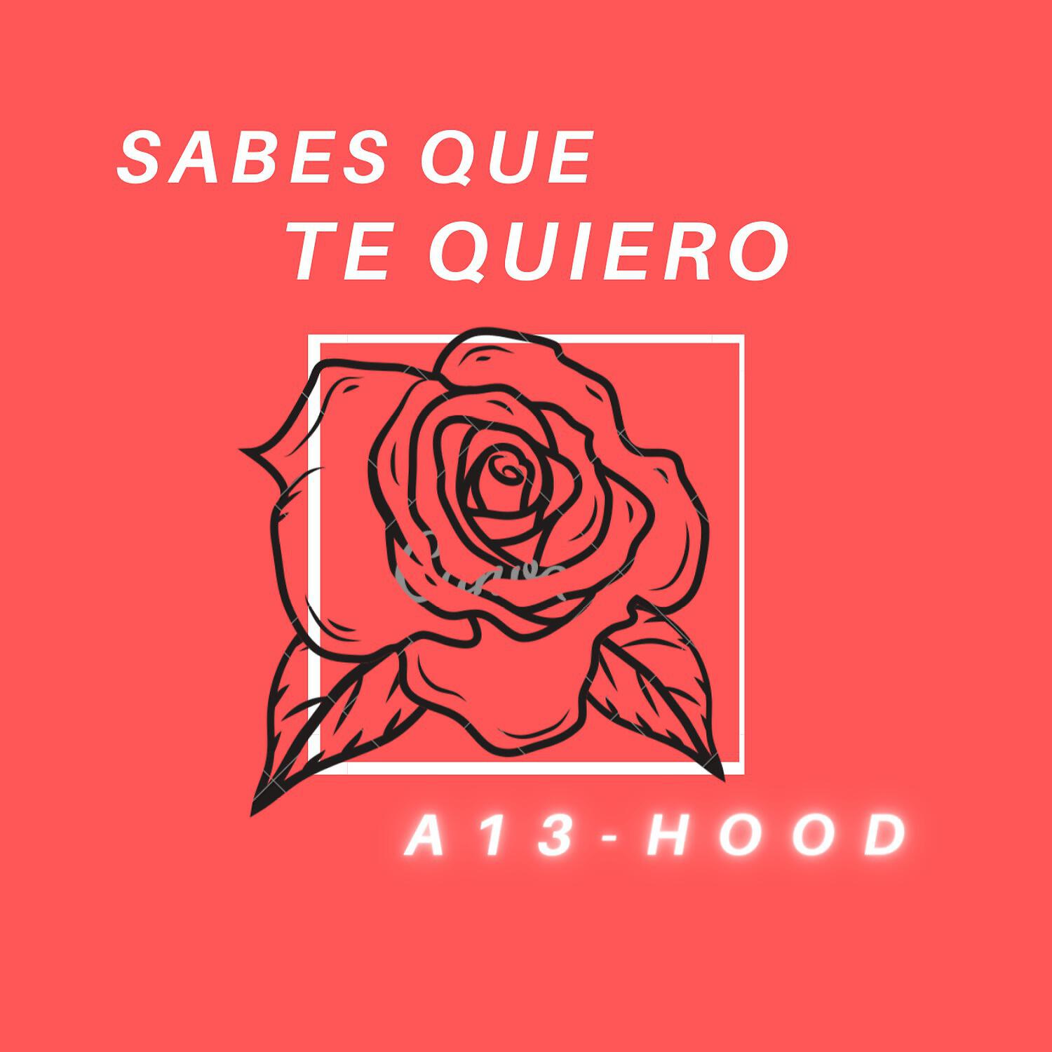 A13-HooD