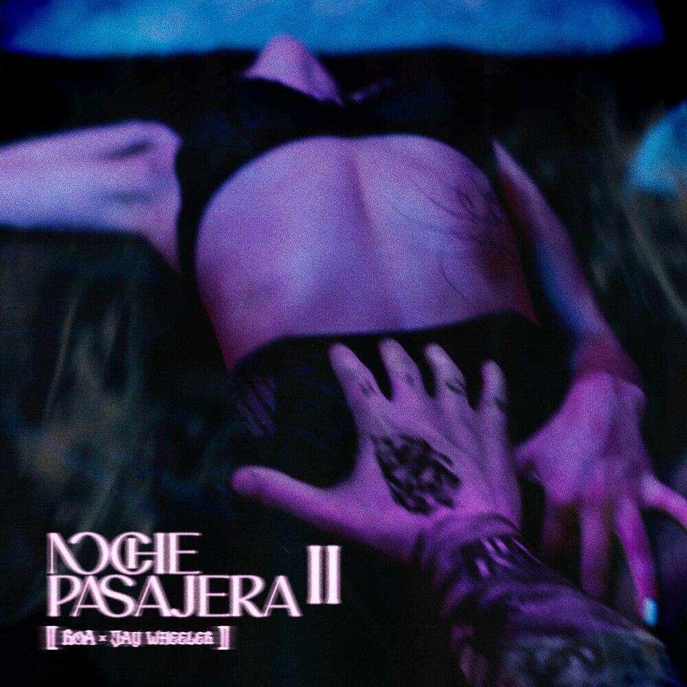 Релиз NOCHE PASAJERA II