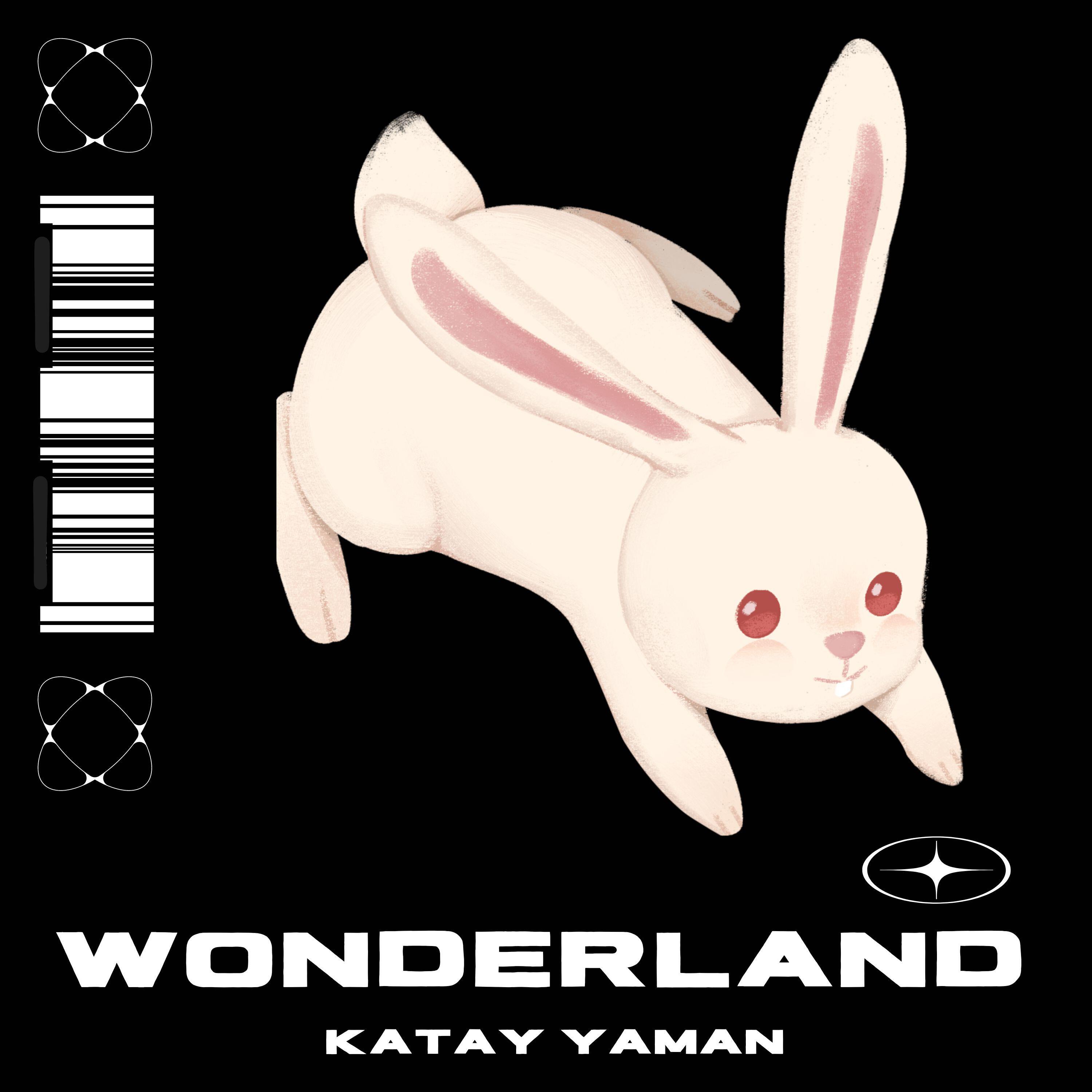Релиз Wonderland
