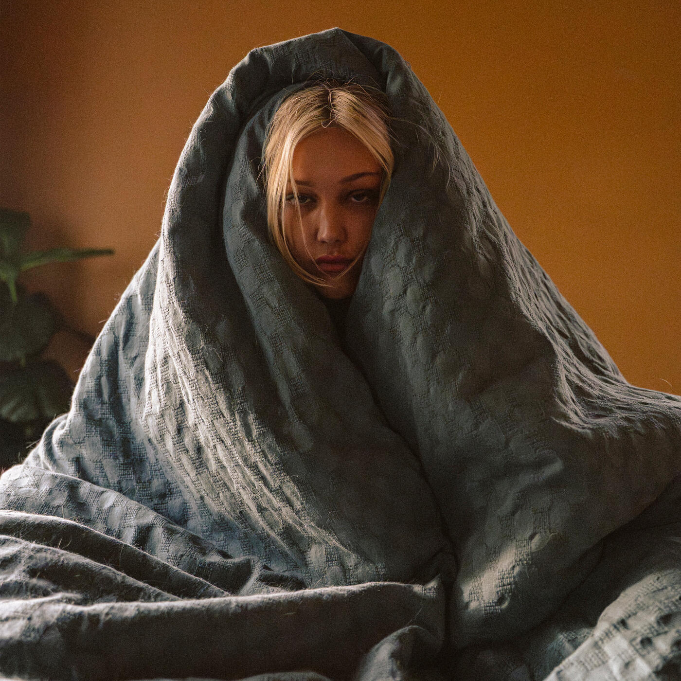 Релиз Understand