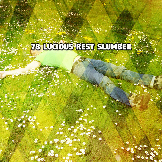 Релиз 78 Lucious Rest Slumber