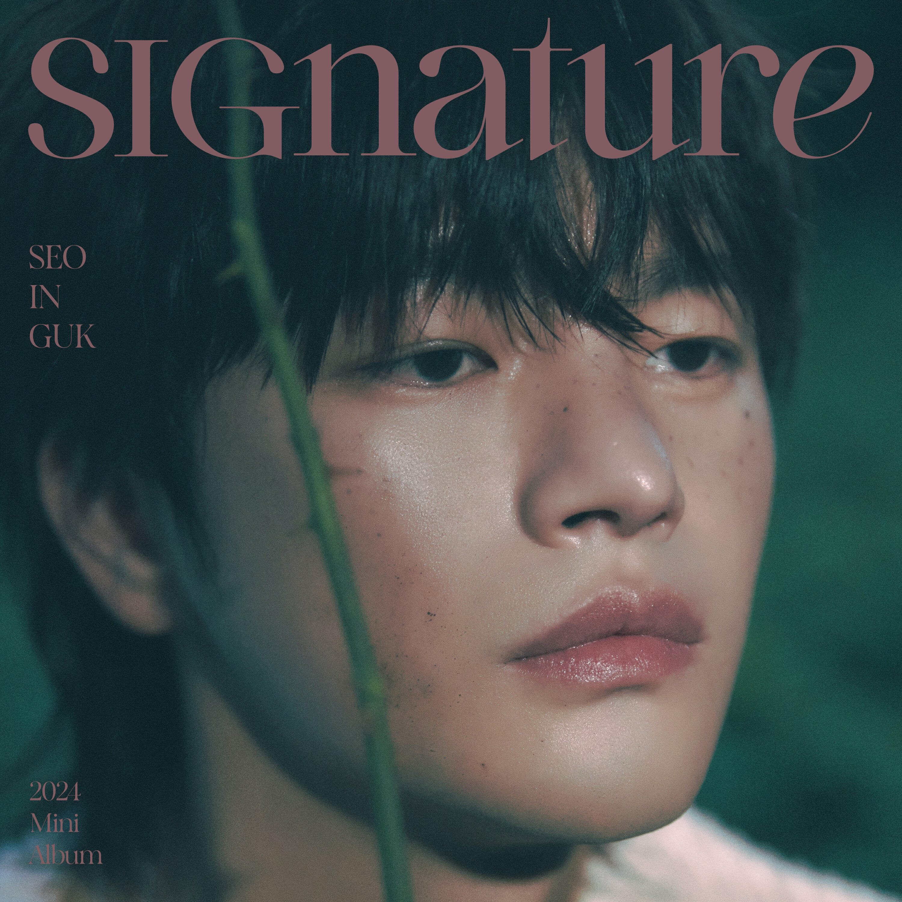 Релиз SIGnature