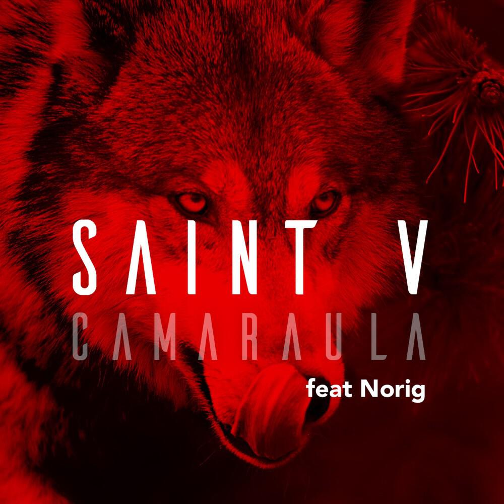 Релиз Camaraula