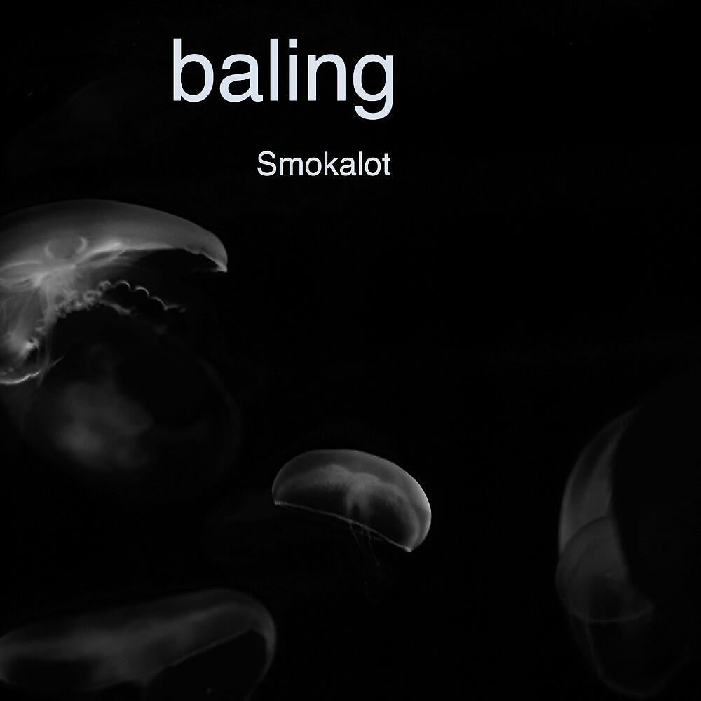 Релиз Baling