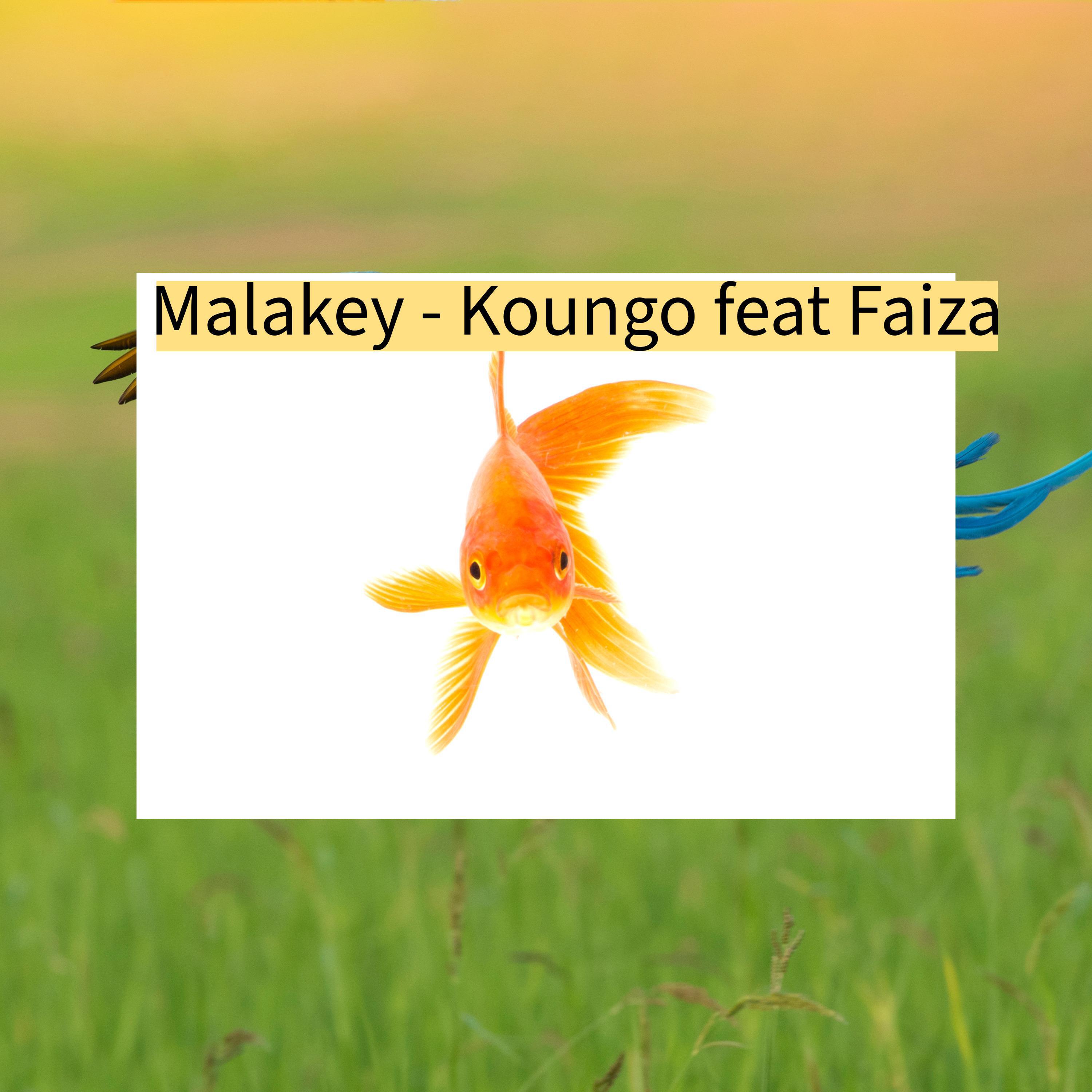 Релиз Koungo (feat. Faiza)
