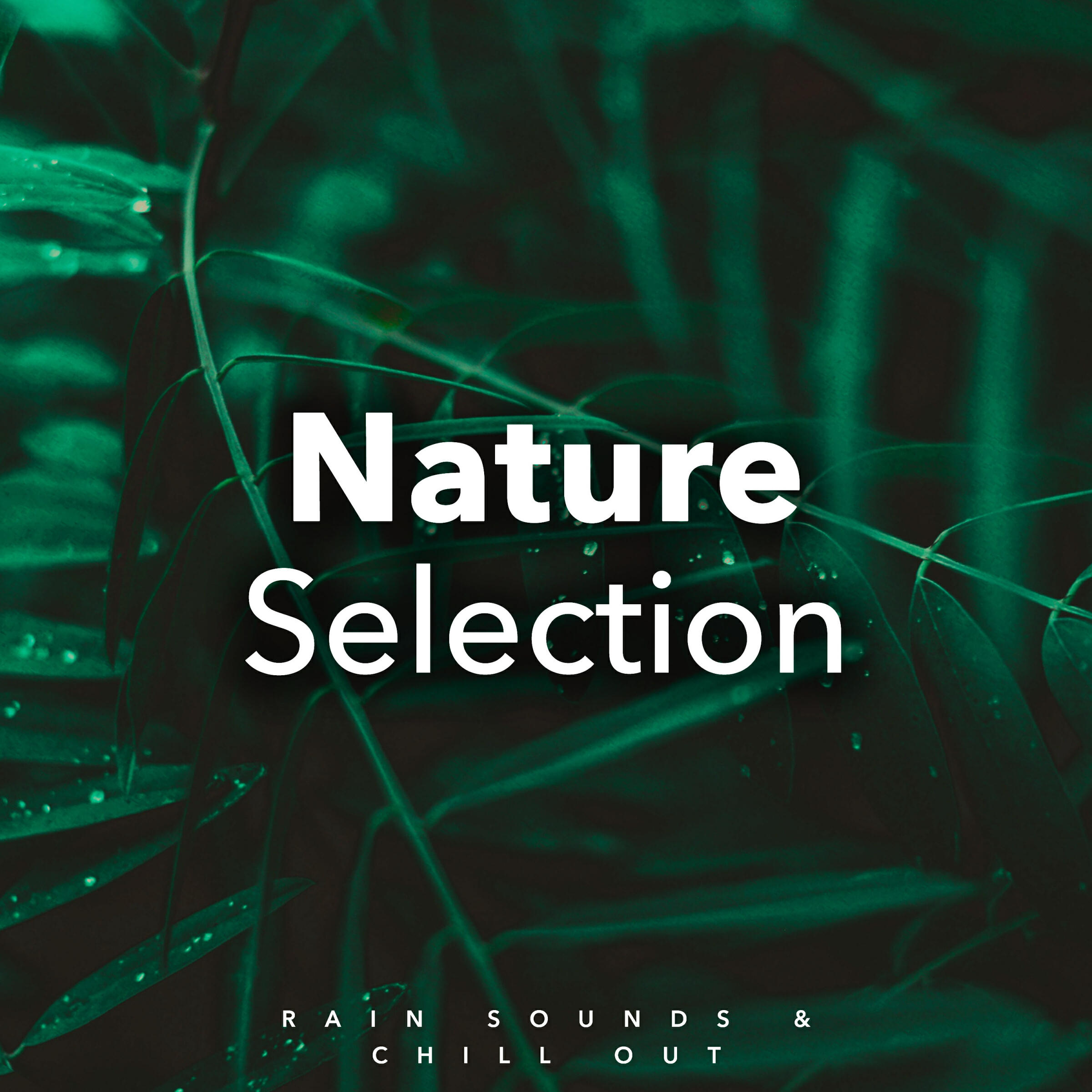 Релиз Nature Selection