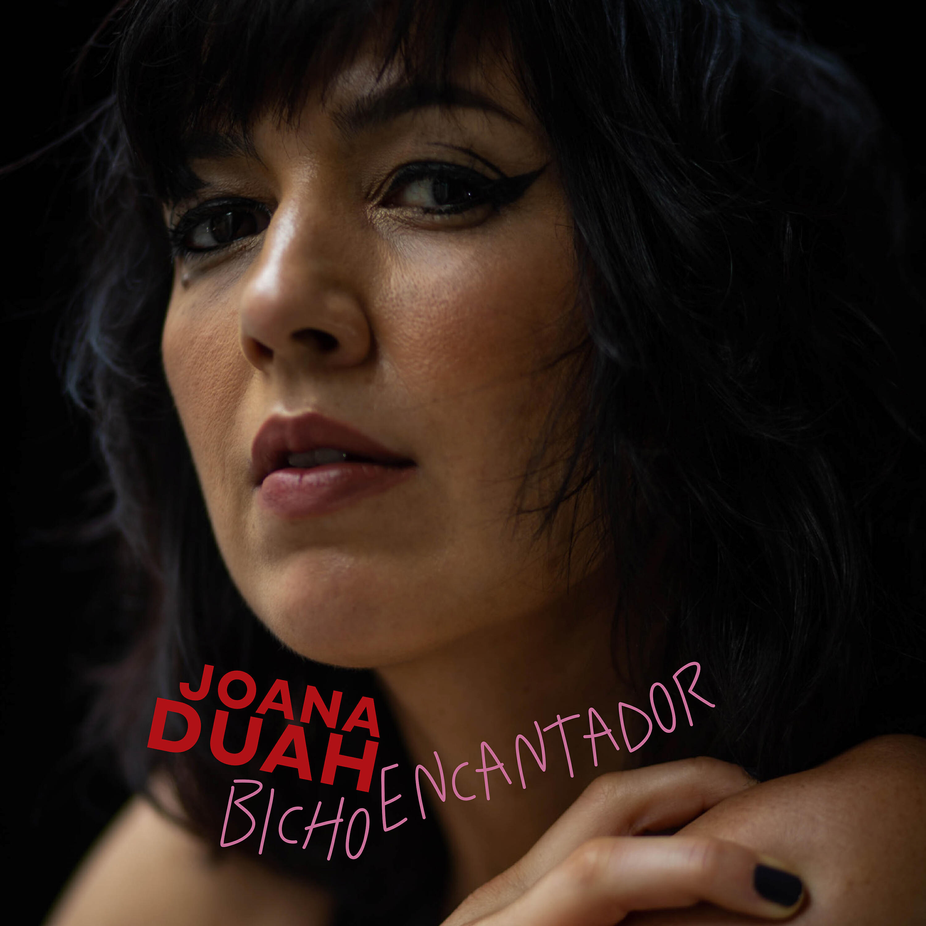 Релиз Bicho Encantador