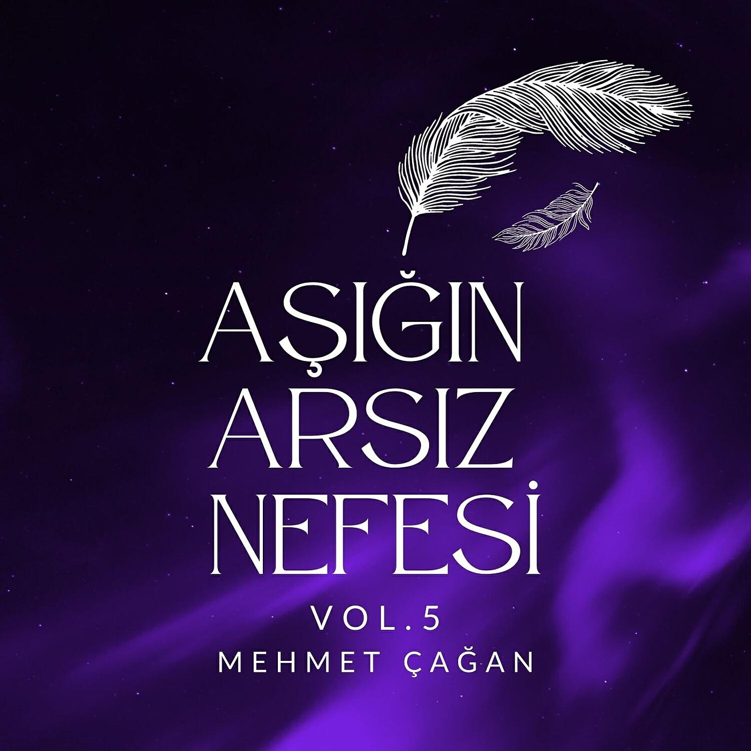 Релиз Aşığın Arsız Nefesi, vol. 5