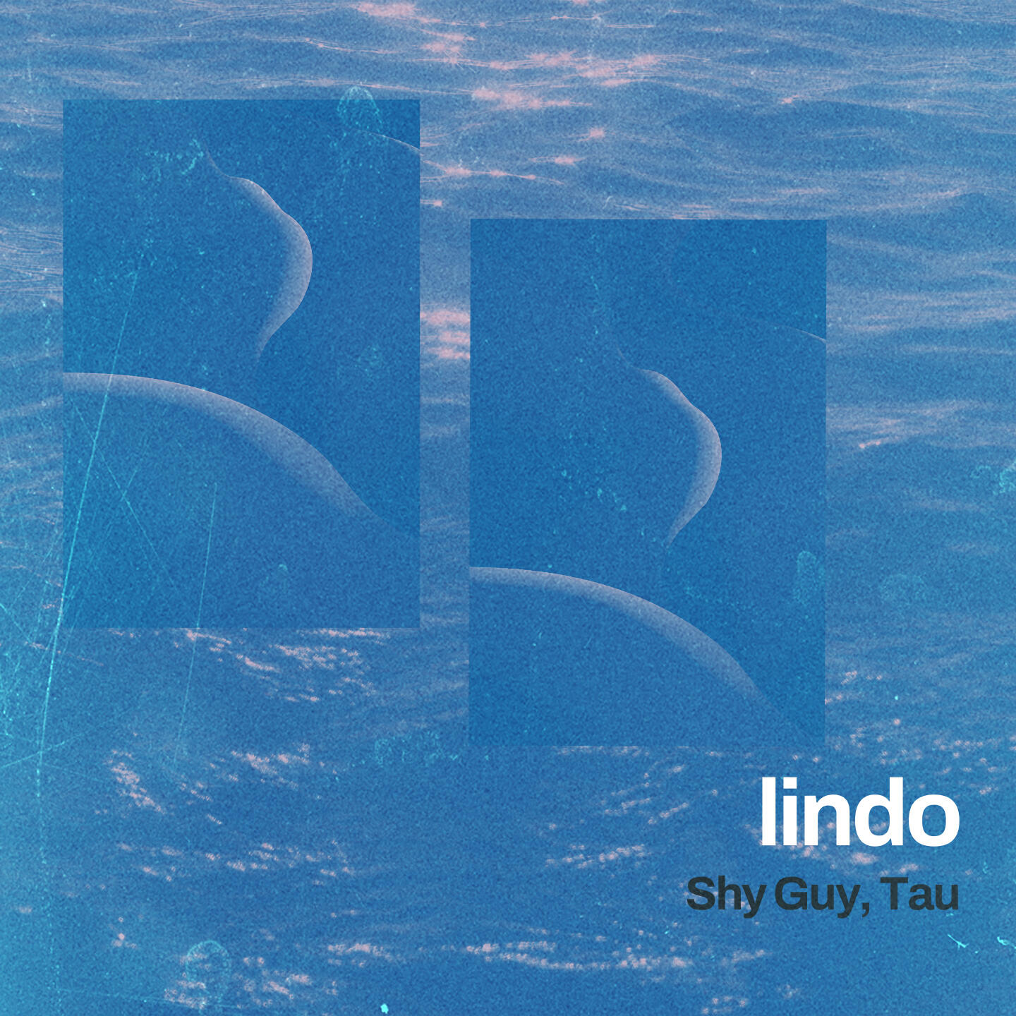 Shy Guy, T A U - lindo