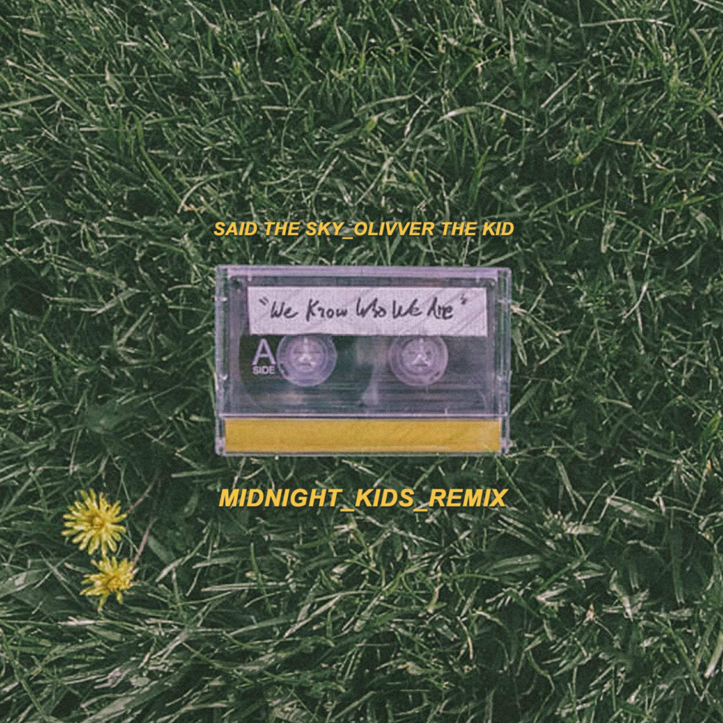 Релиз We Know Who We Are (Midnight Kids Remix)