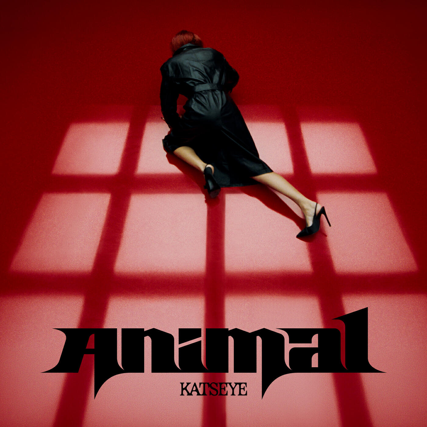 Релиз Animal