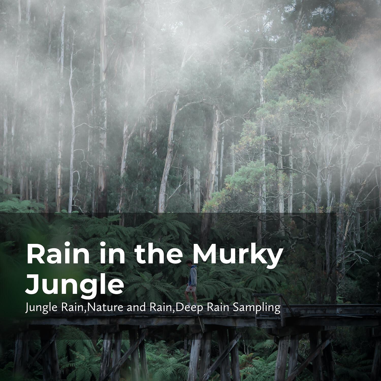 Релиз Rain in the Murky Jungle