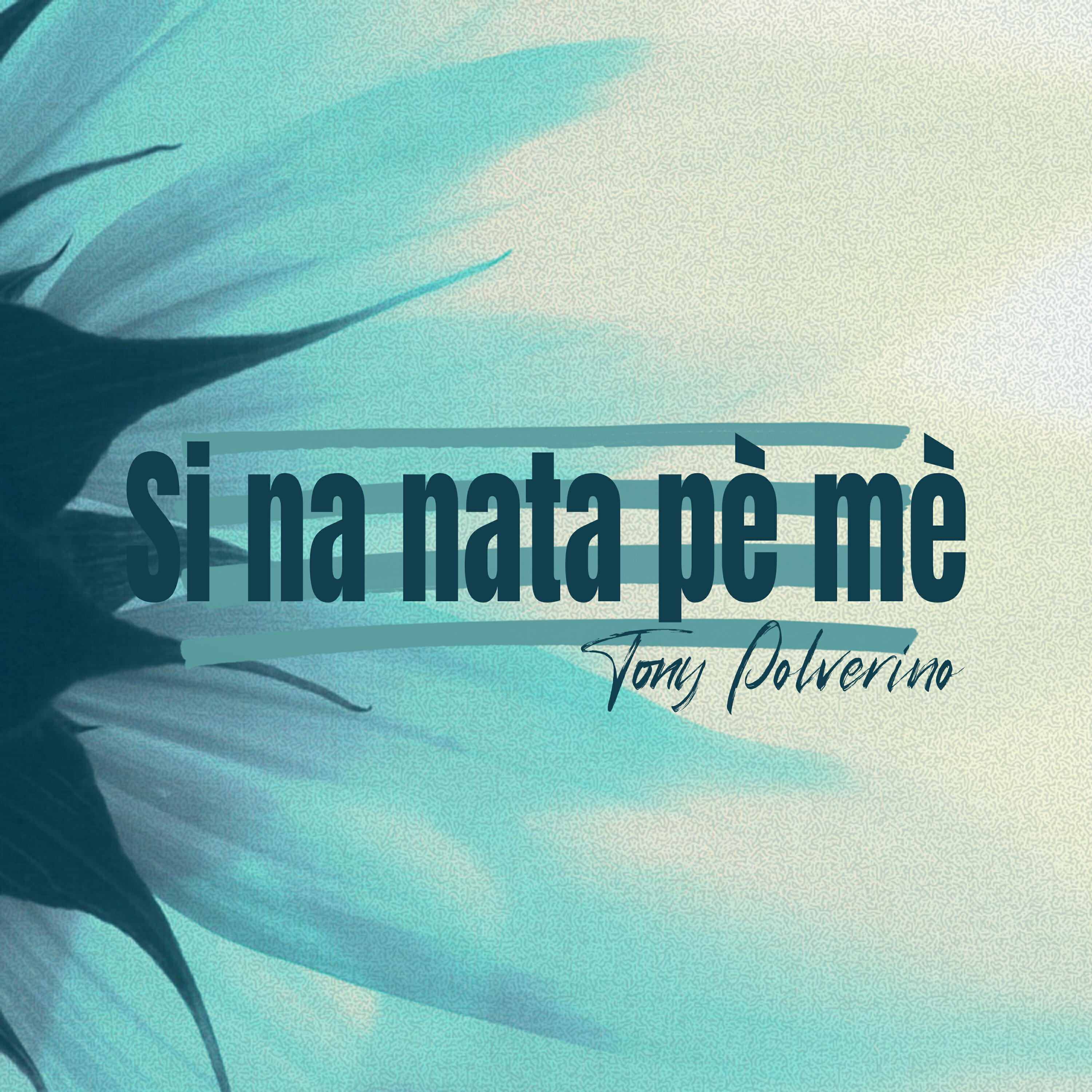 Релиз Si Nata Pe' Me'