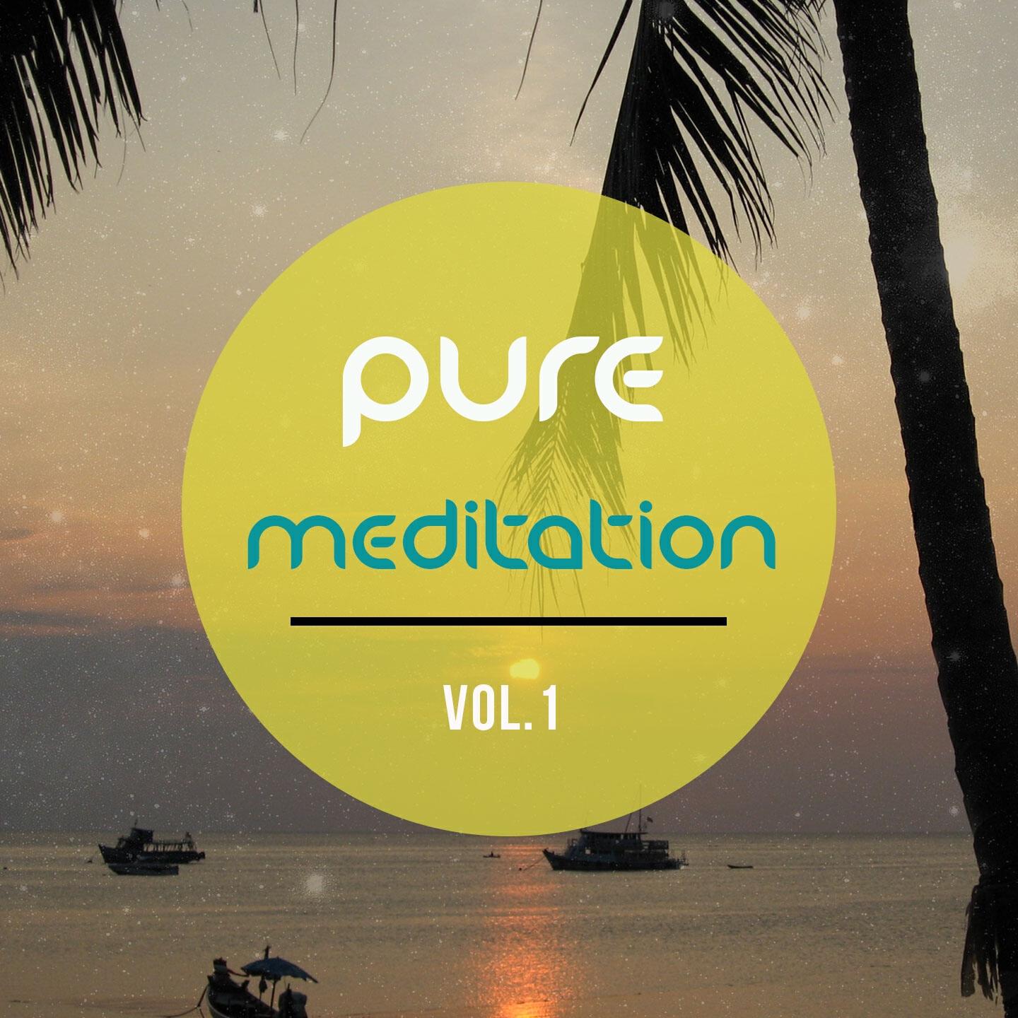 Релиз Pure Meditation, Vol. 1
