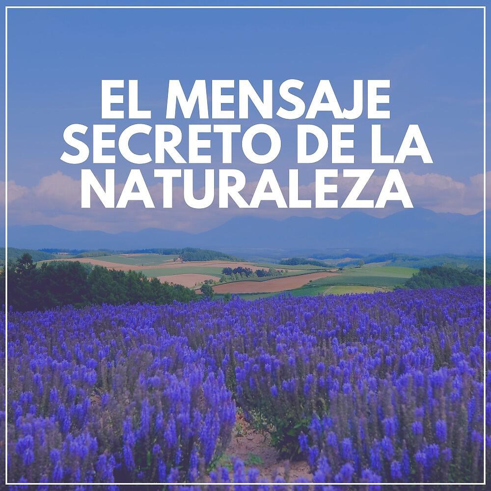 Релиз El Mensaje Secreto de la Naturaleza