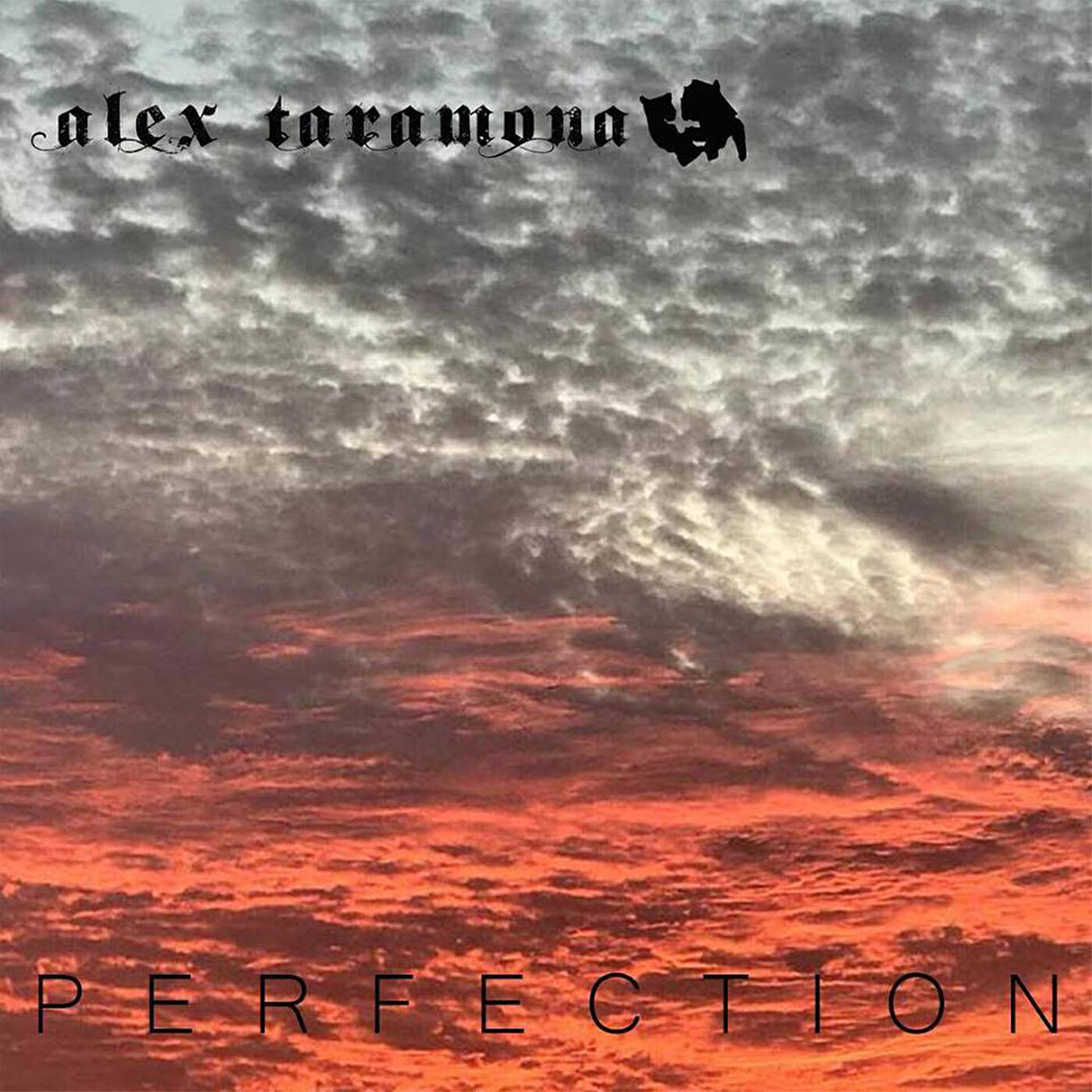 Релиз Perfection