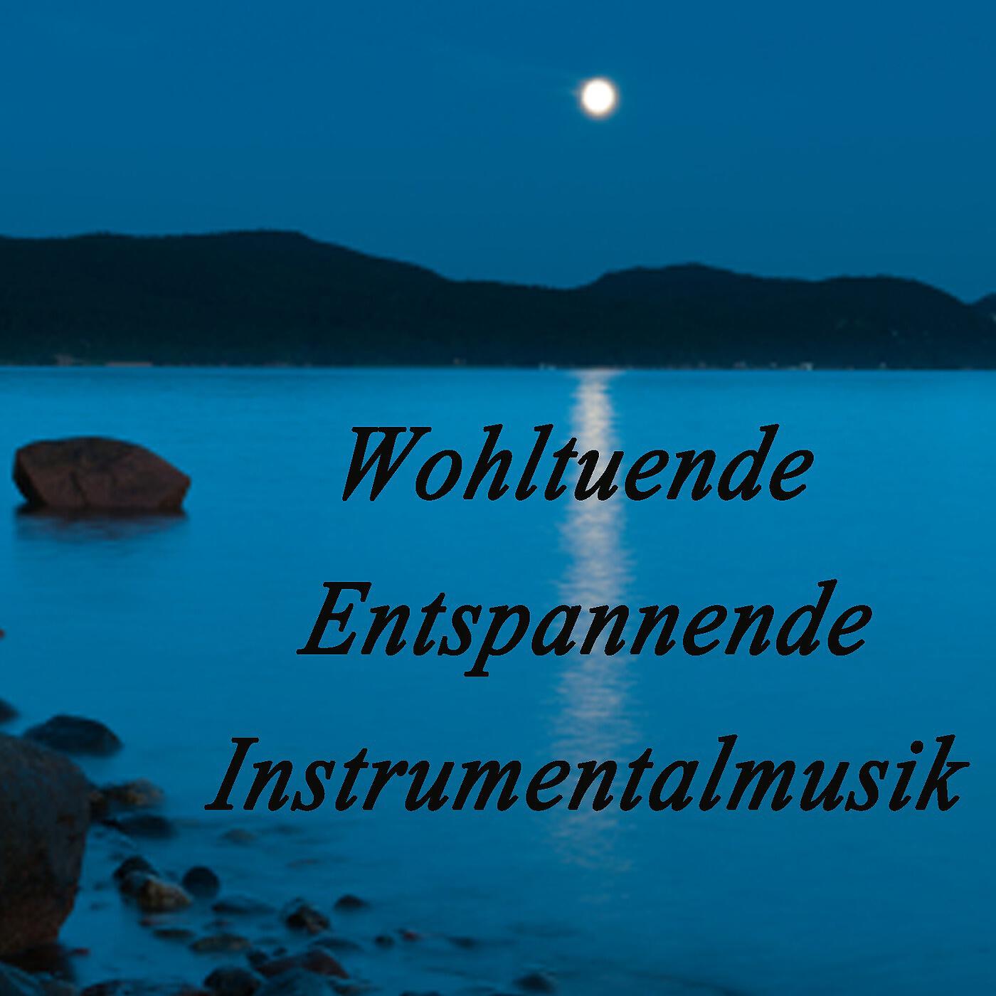 Релиз Wohltuende Entspannende Instrumentalmusik