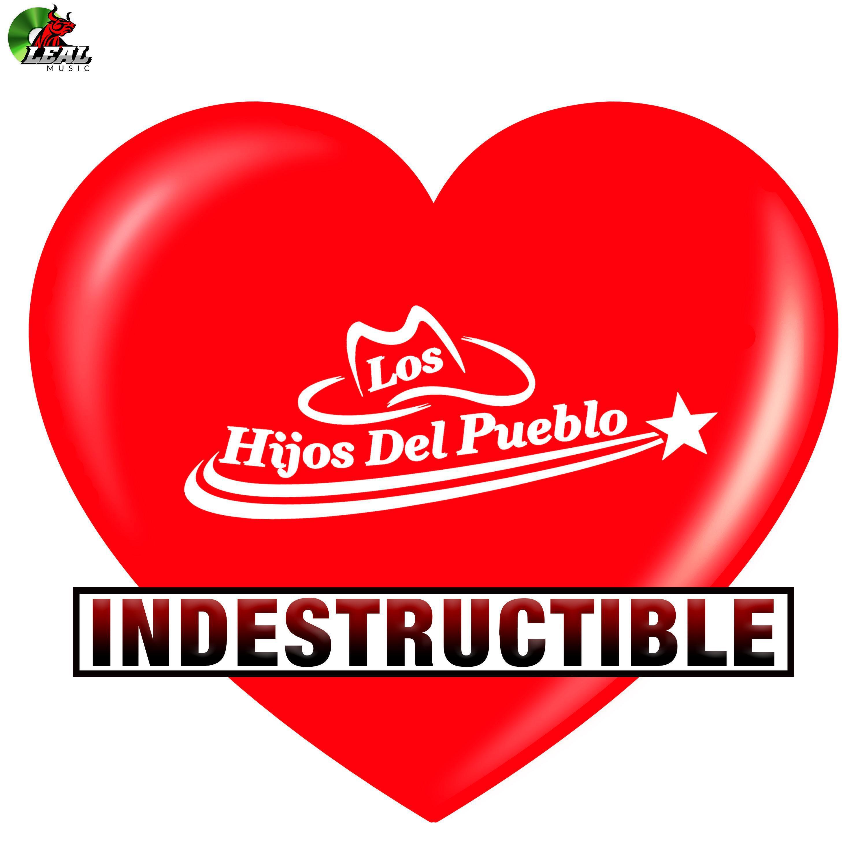Релиз Indestructible